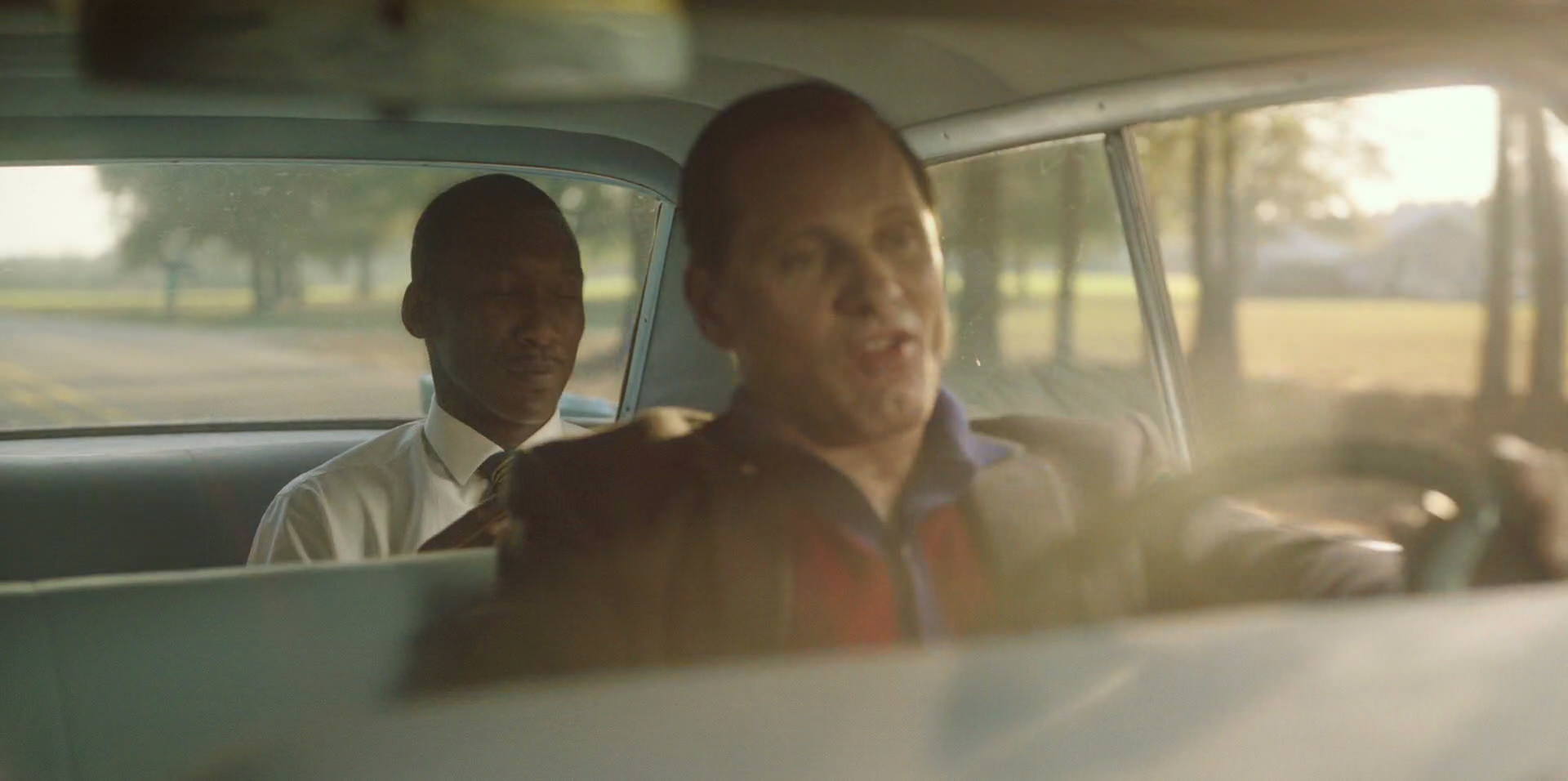 Green Book (2018) HD screenshot 6308