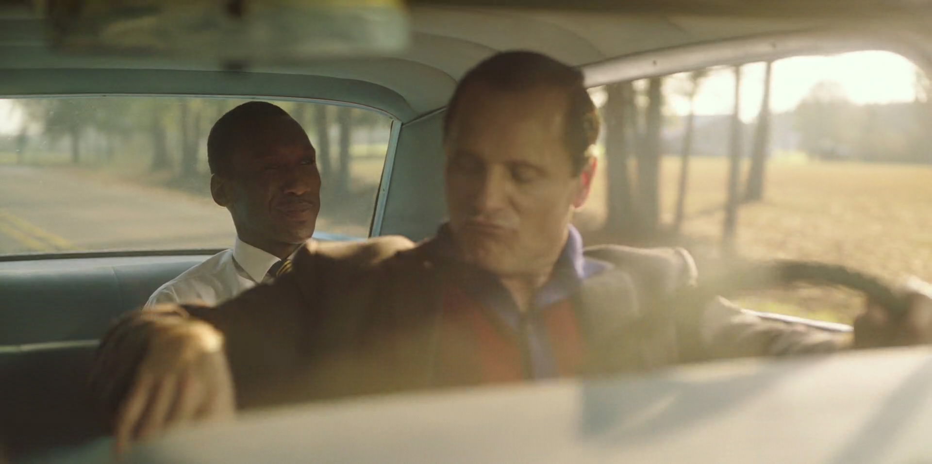 Green Book (2018) HD screenshot 6314