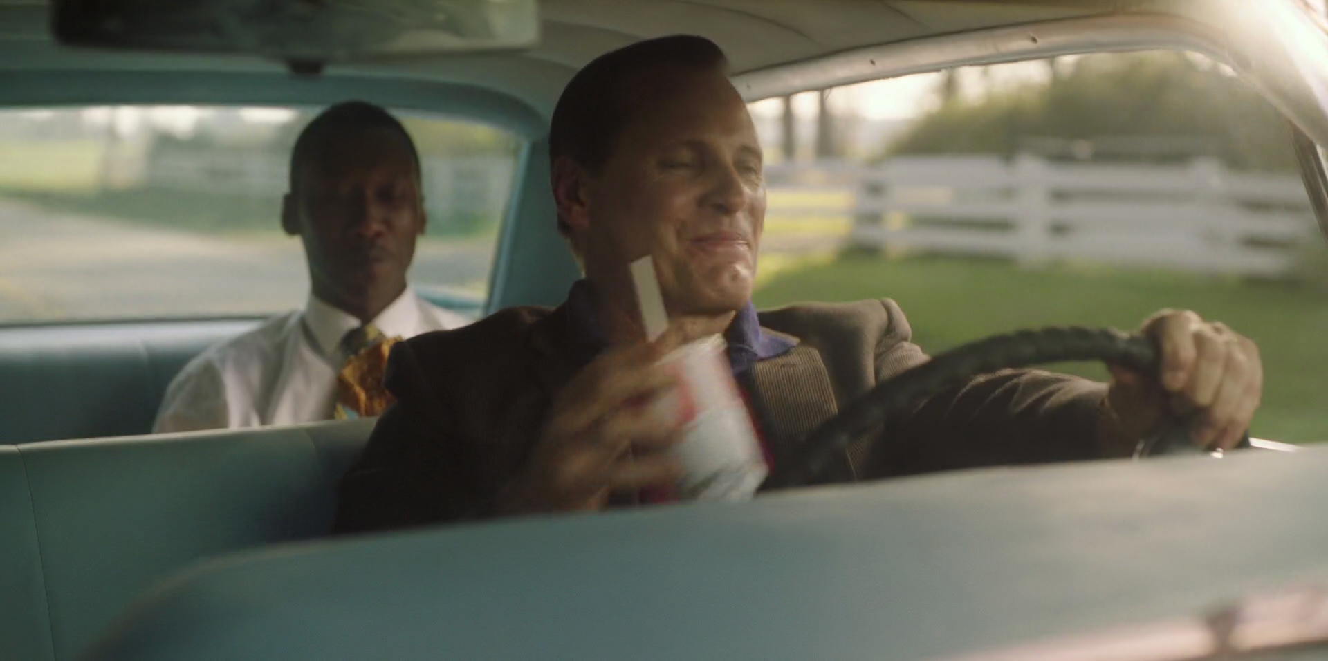 Green Book (2018) screencap 6330