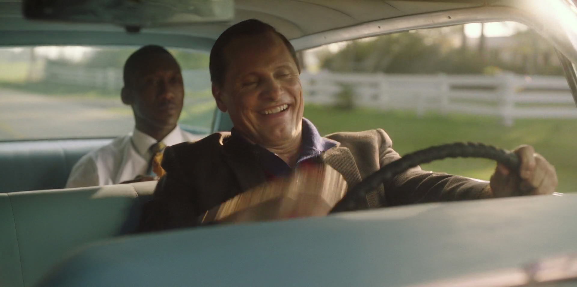 Green Book (2018) HD screenshot 6332