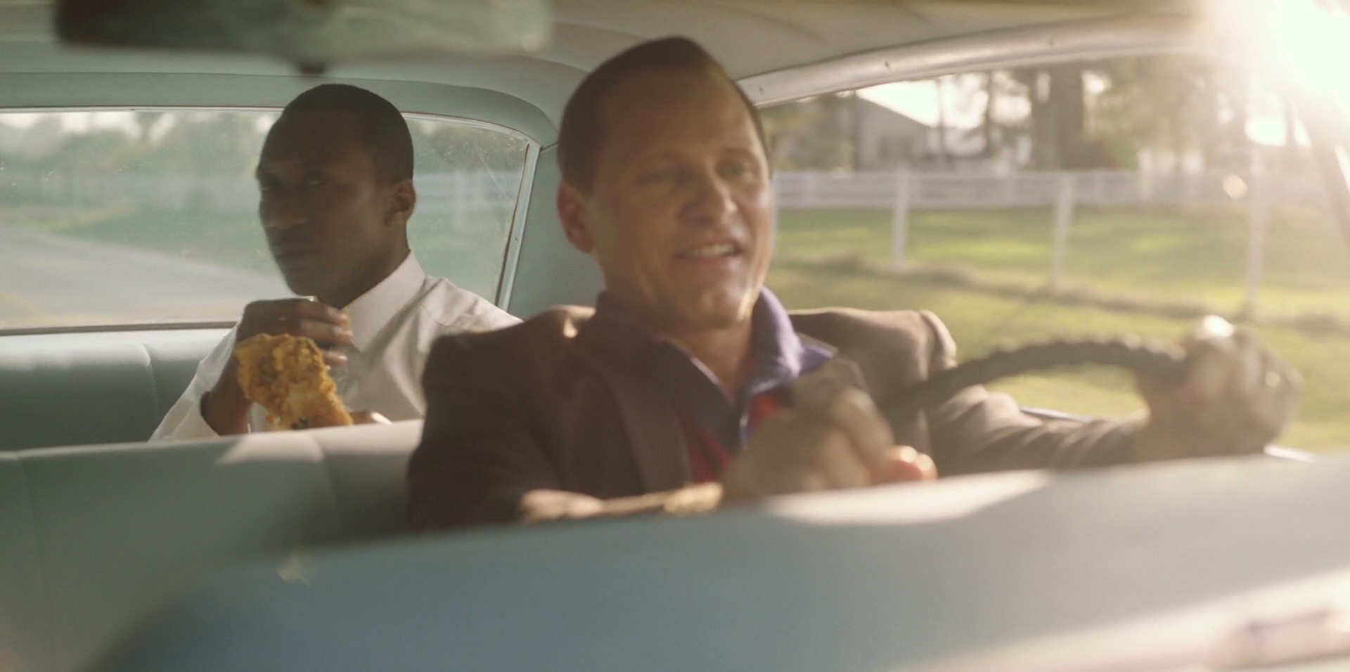 Green Book (2018) movie still 6340
