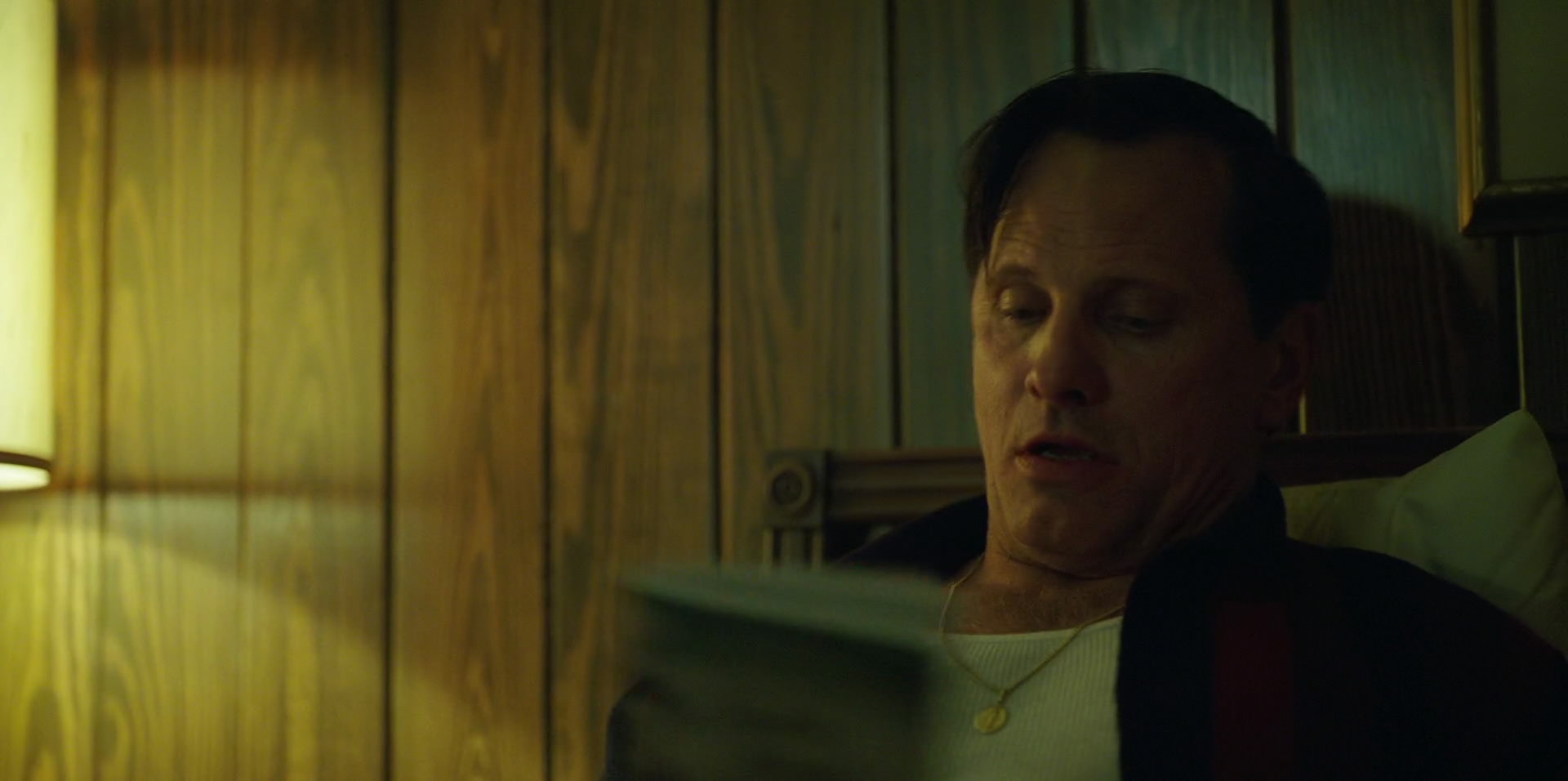 Green Book (2018) screencap 6624
