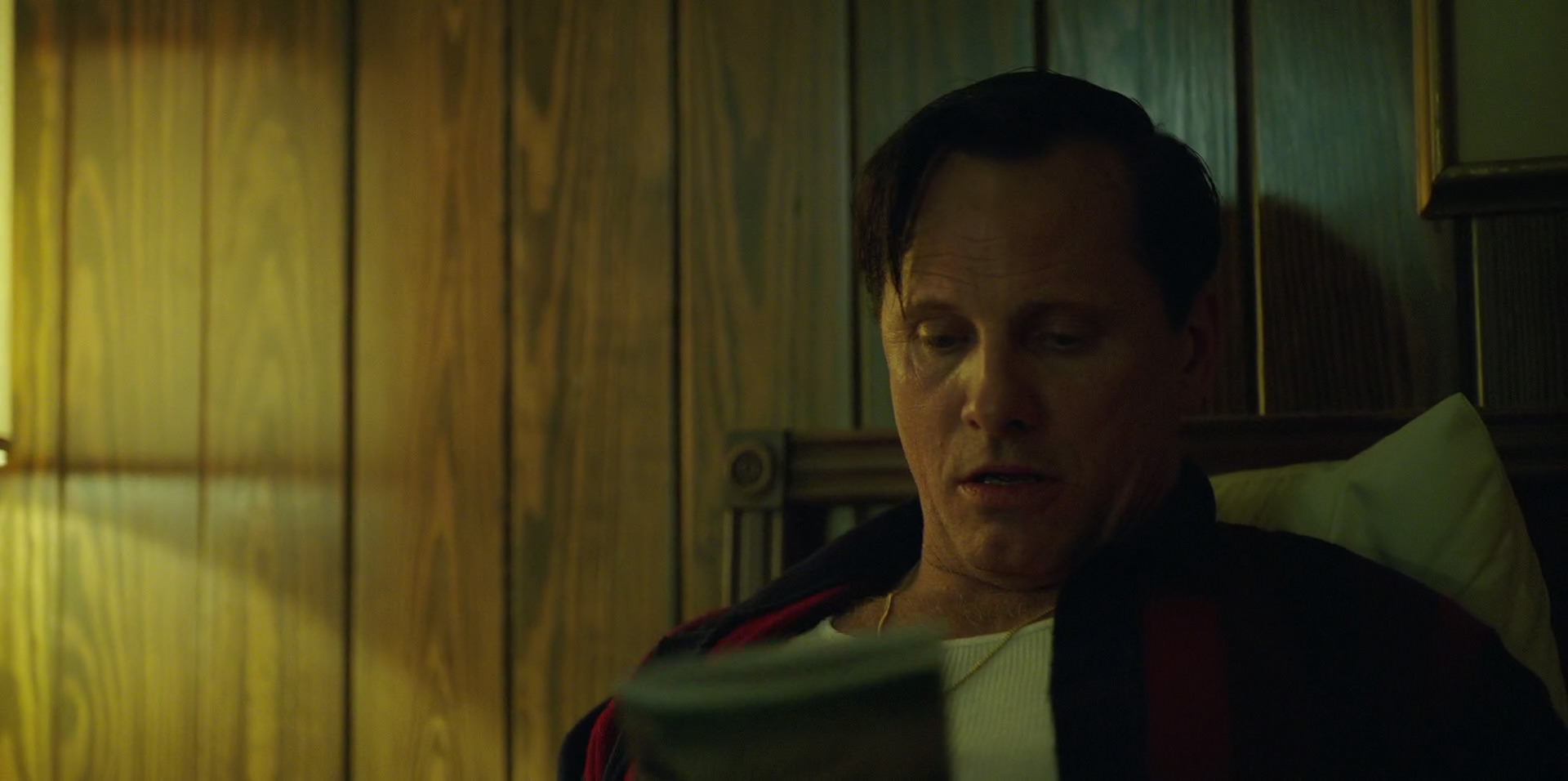 Green Book (2018) movie still 6625