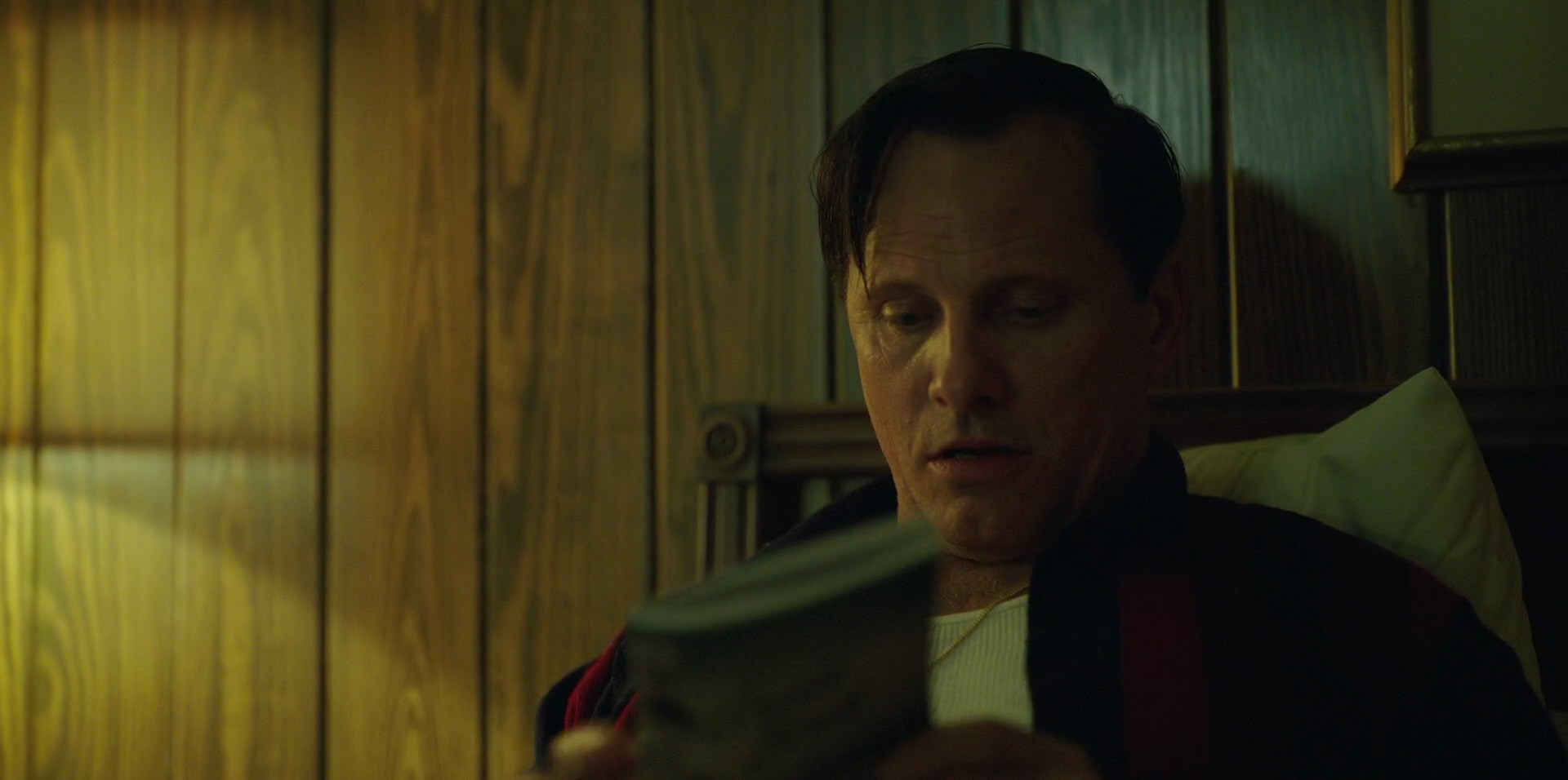 Green Book (2018) HD screenshot 6626