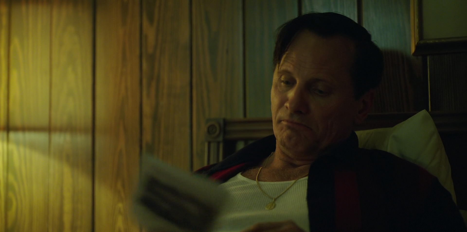 Green Book (2018) screencap 6627