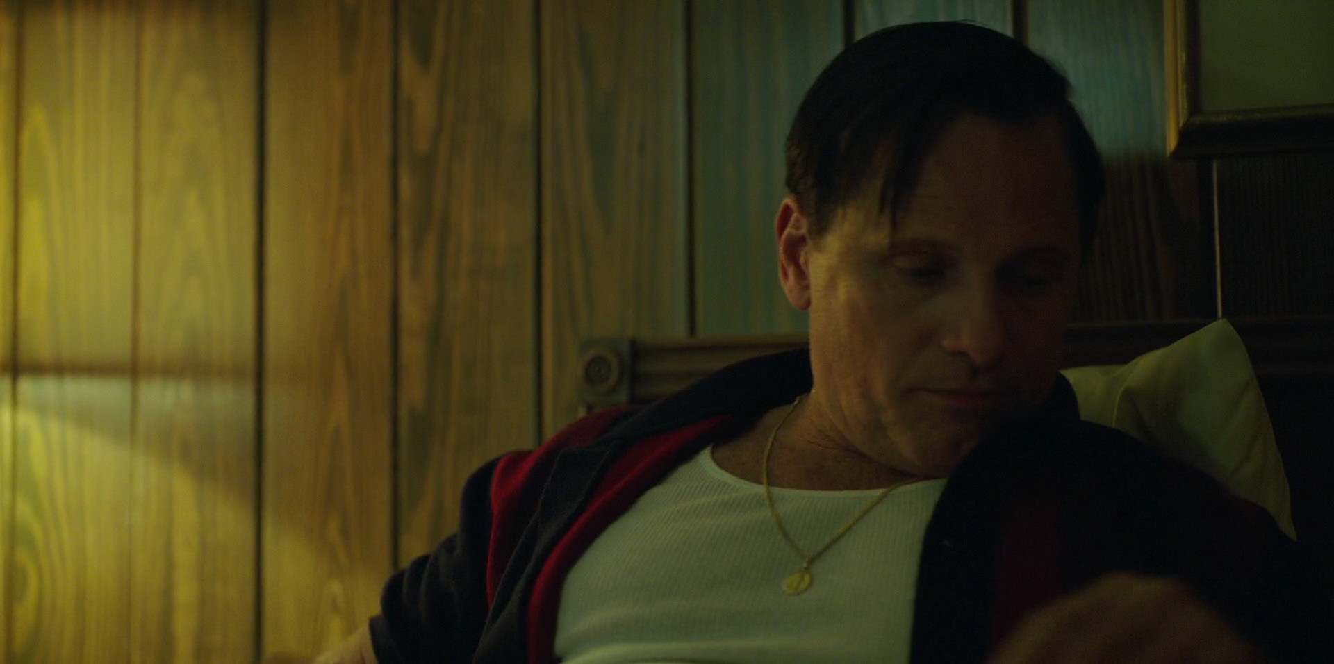 Green Book (2018) HD screenshot 6629