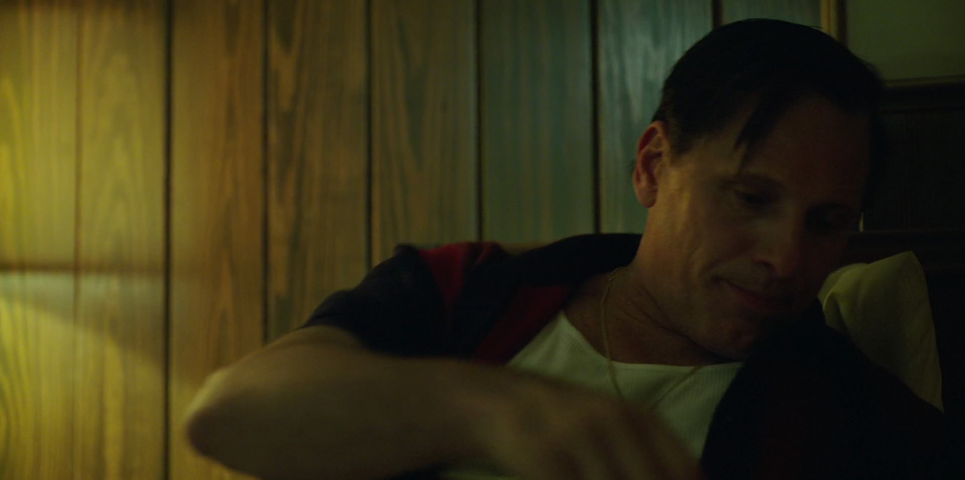 Green Book (2018) screencap 6630