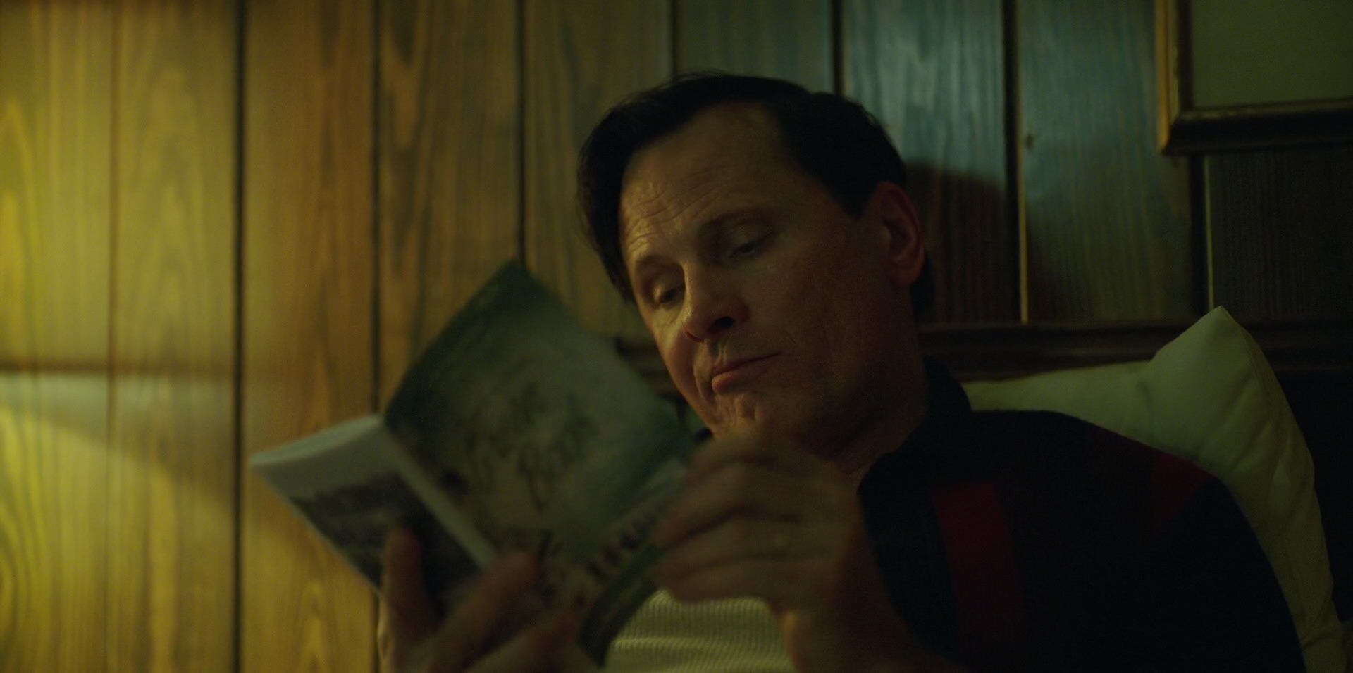 Green Book (2018) HD screenshot 6671