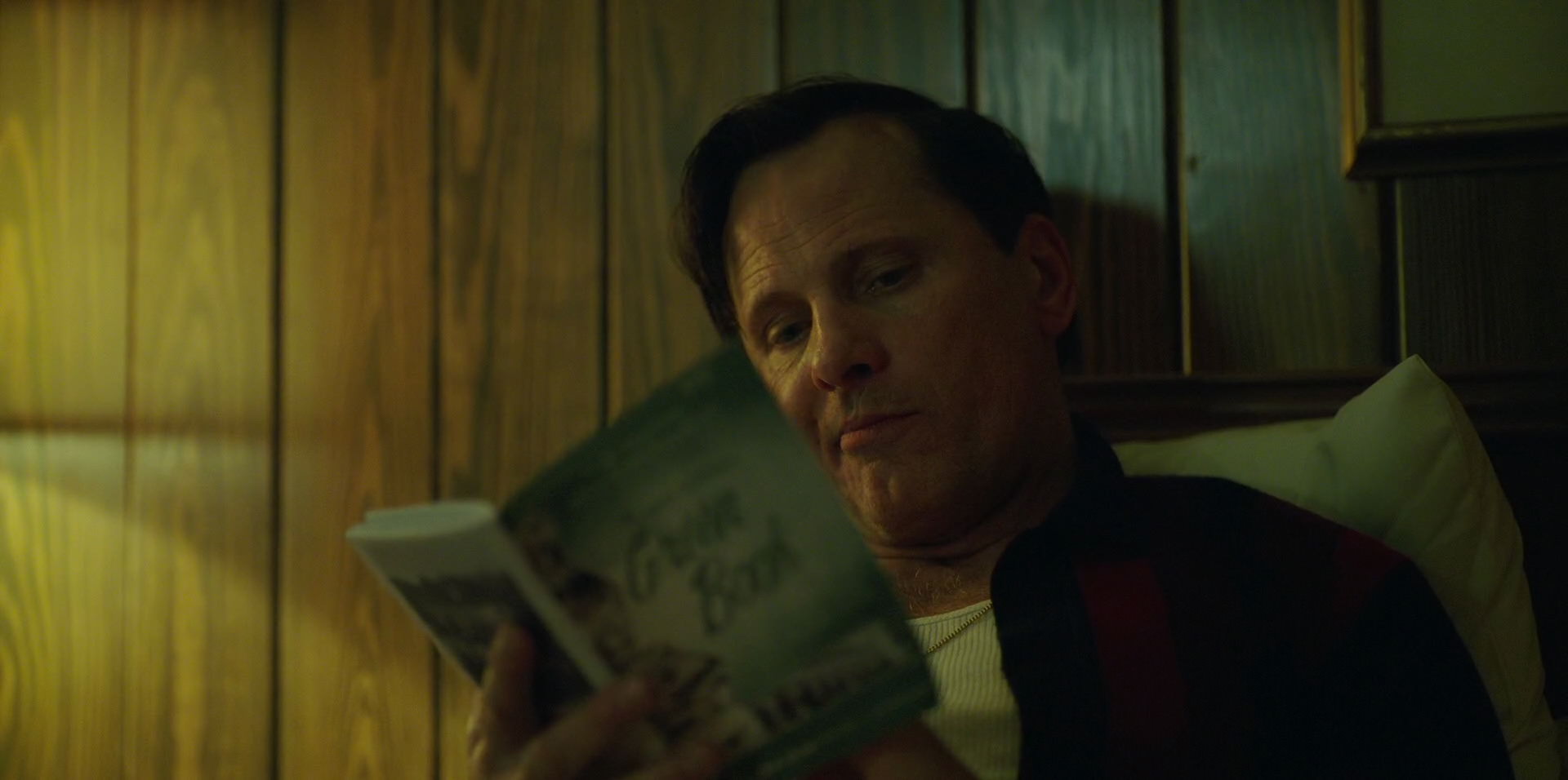 Green Book (2018) movie still 6673