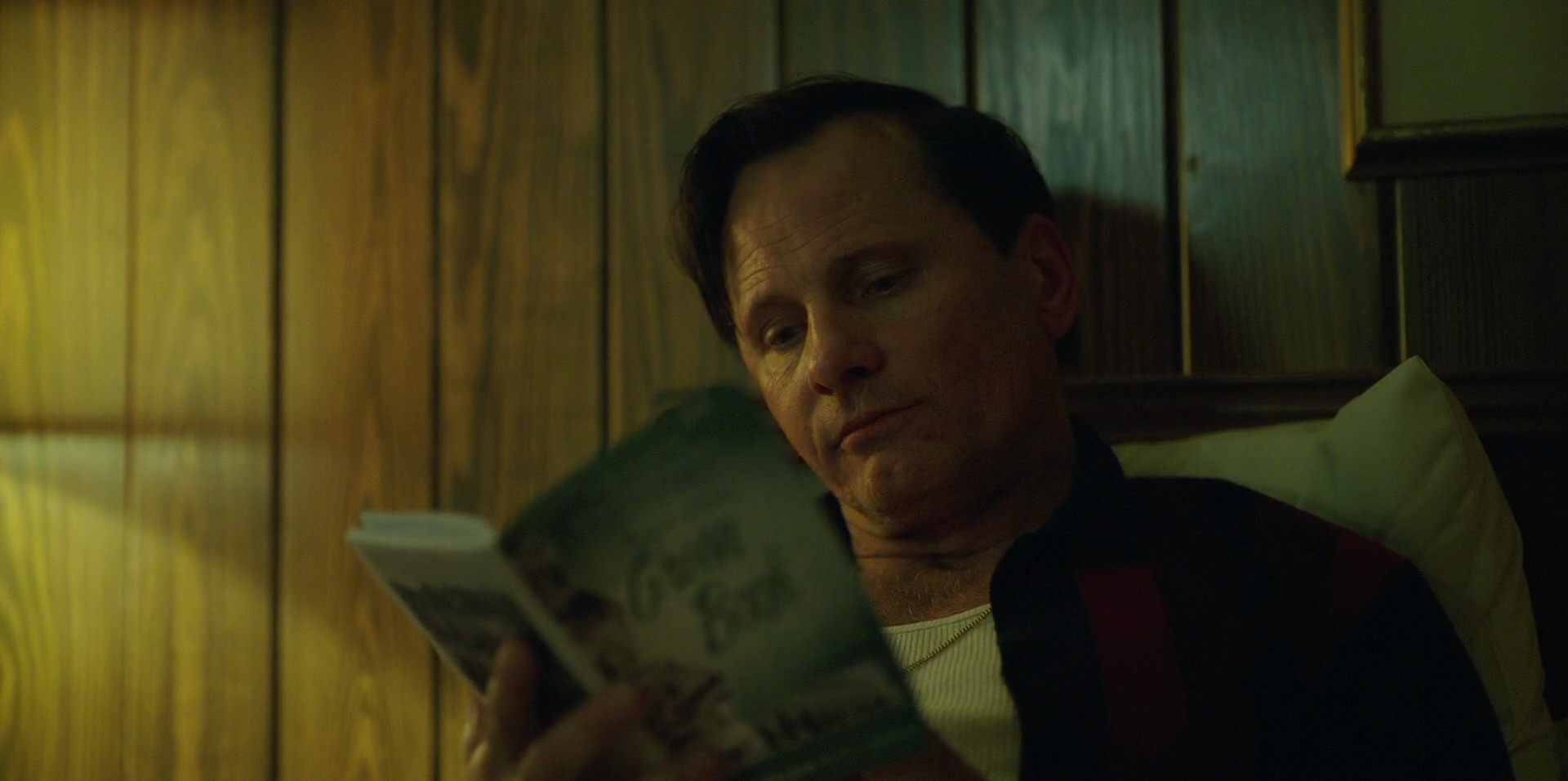 Green Book (2018) HD screenshot 6674