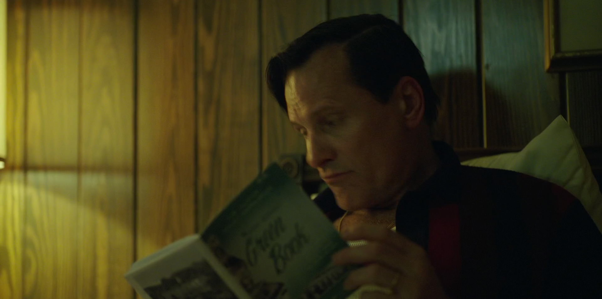 Green Book (2018) HD screenshot 6695