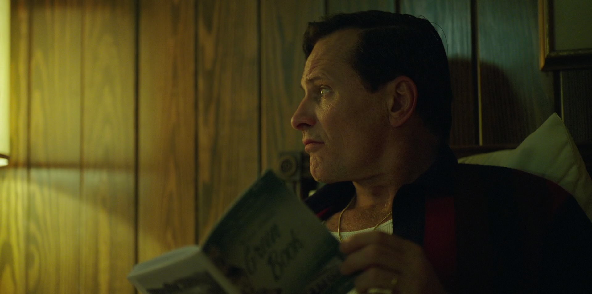 Green Book (2018) movie still 6697