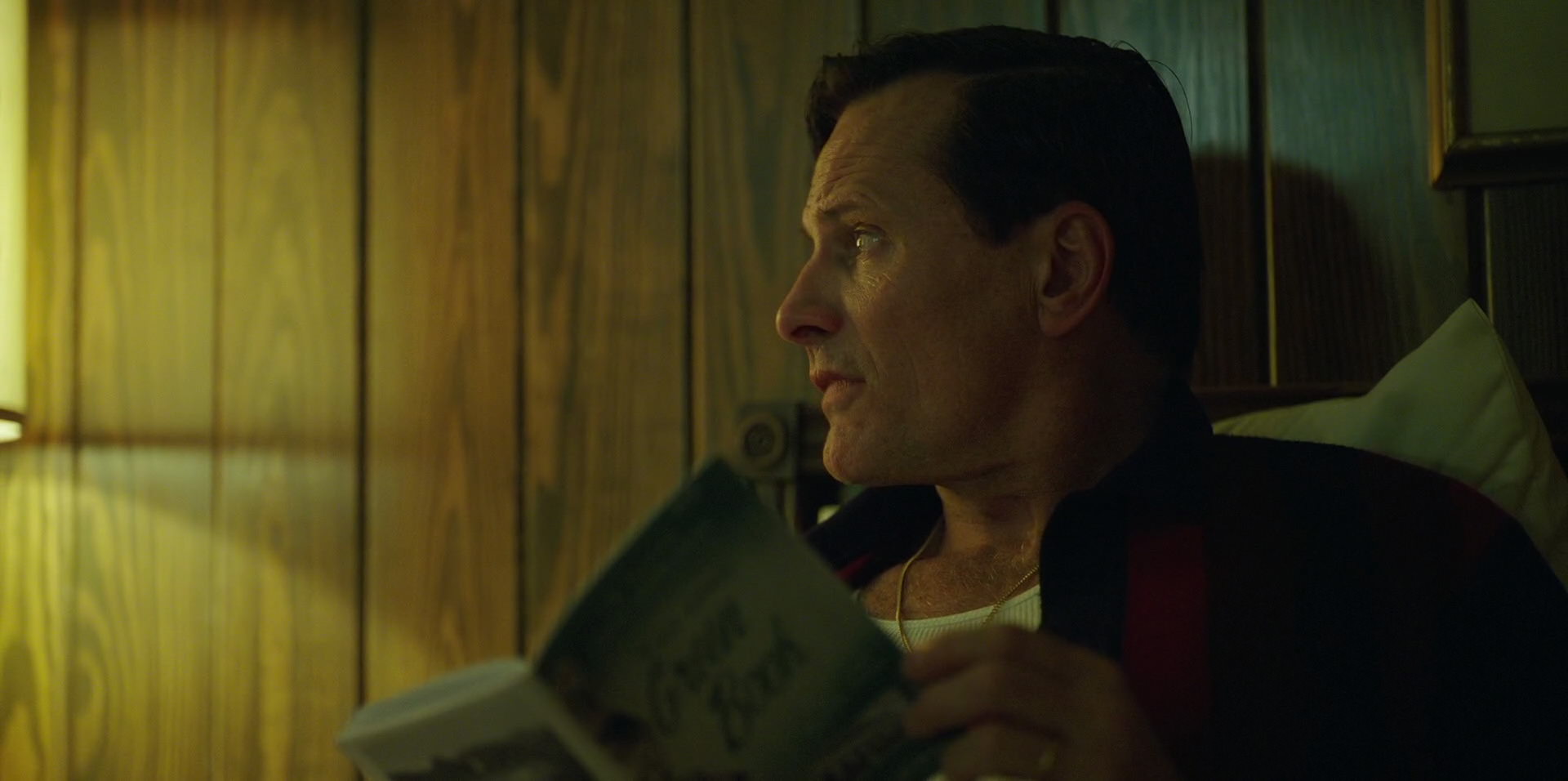 Green Book (2018) HD screenshot 6698