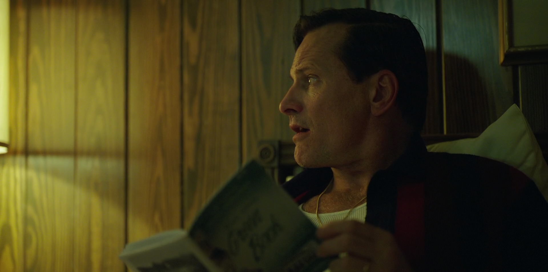 Green Book (2018) screencap 6699