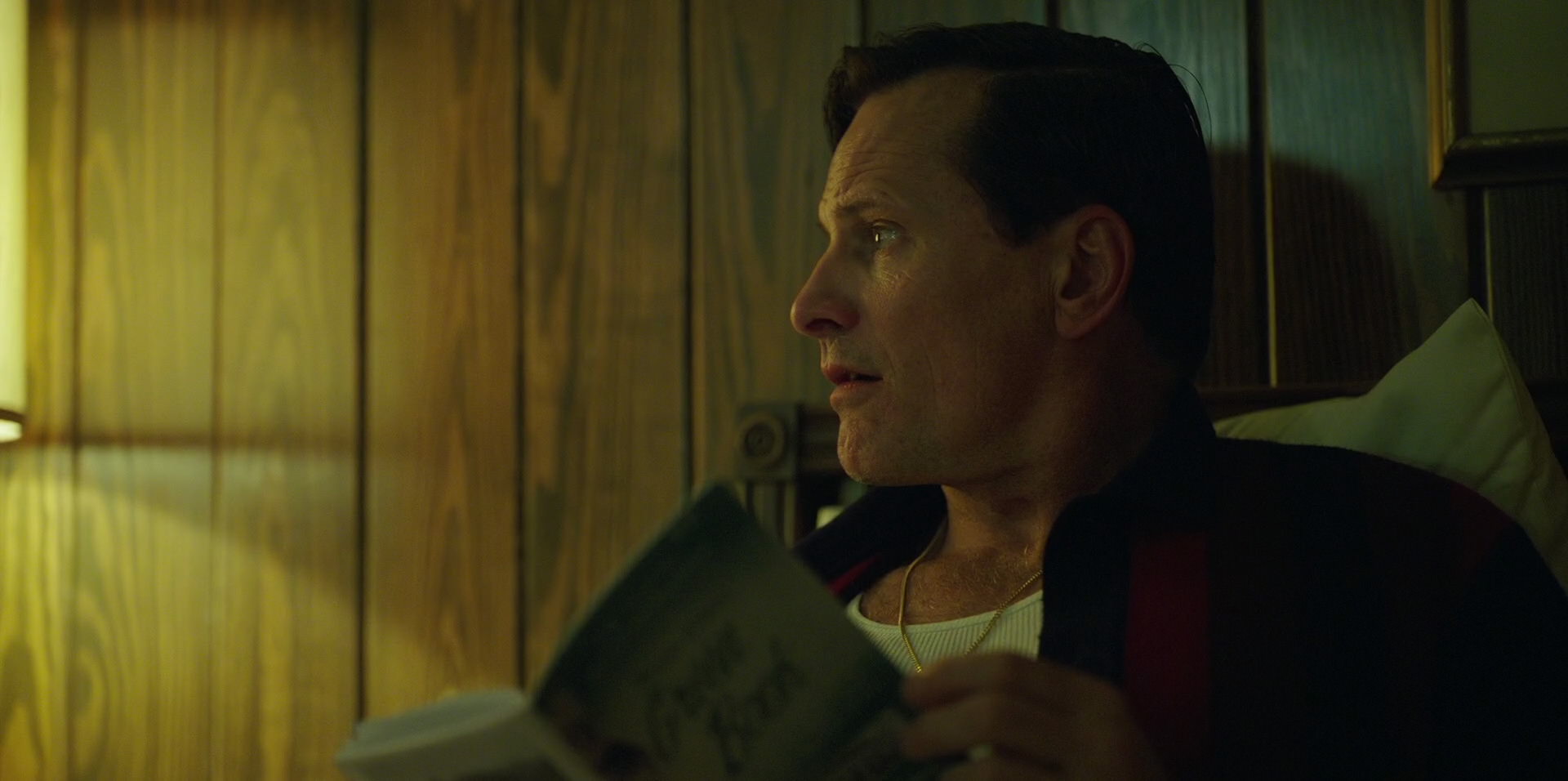 Green Book (2018) HD screenshot 6701
