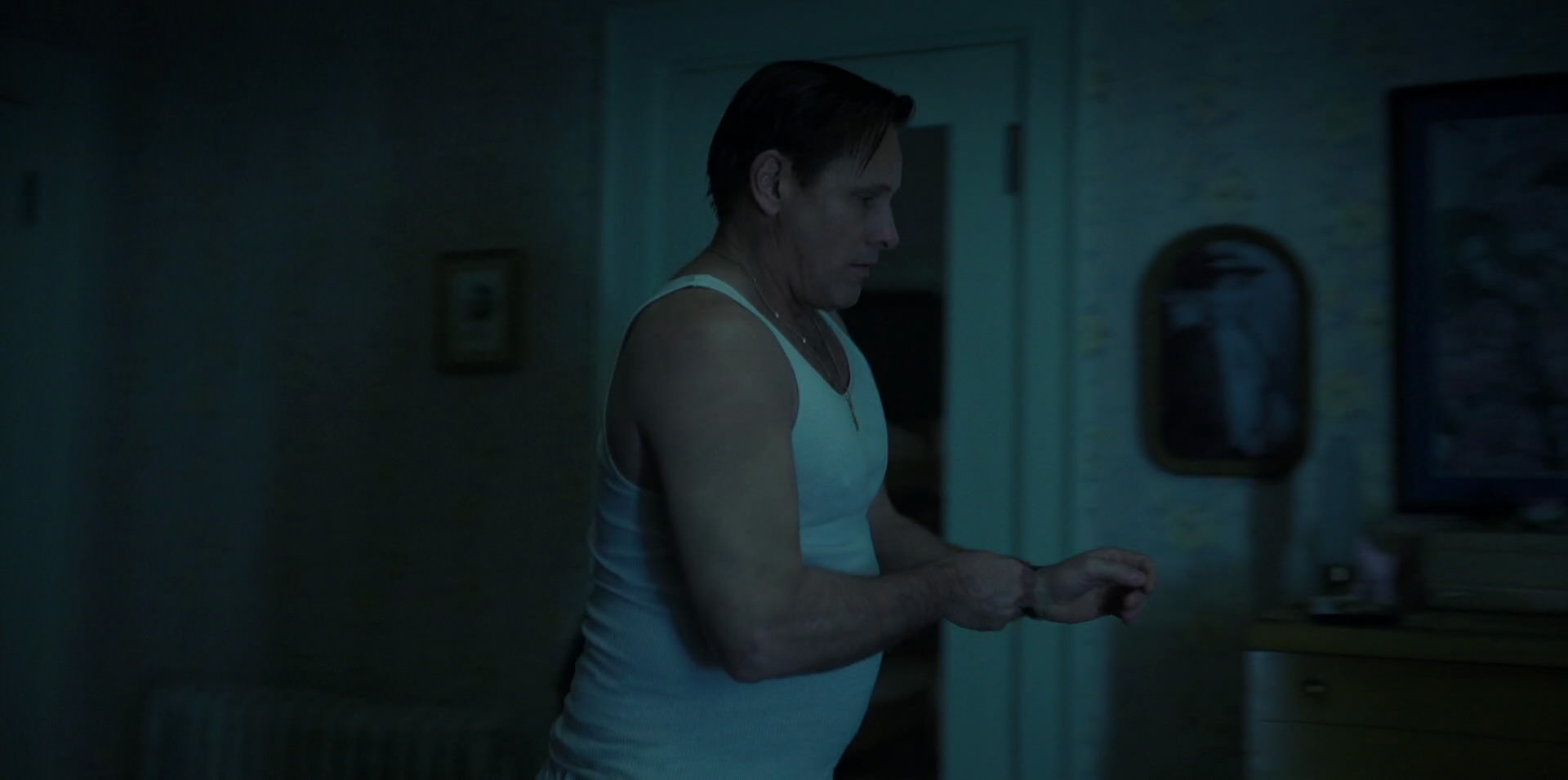 Green Book (2018) HD screenshot 671