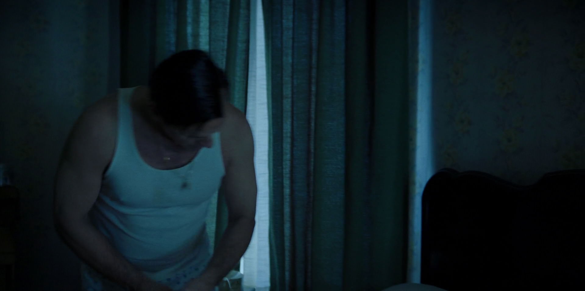Green Book (2018) HD screenshot 680