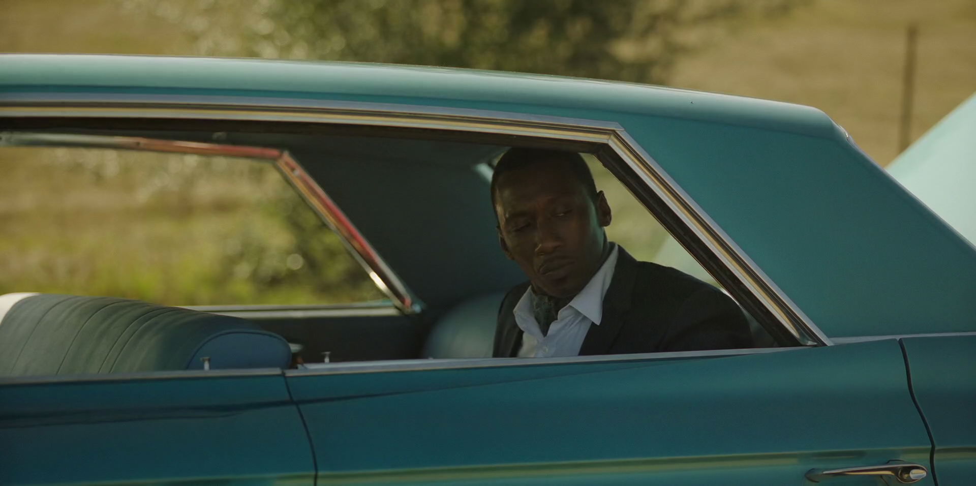 Green Book (2018) HD screenshot 7226