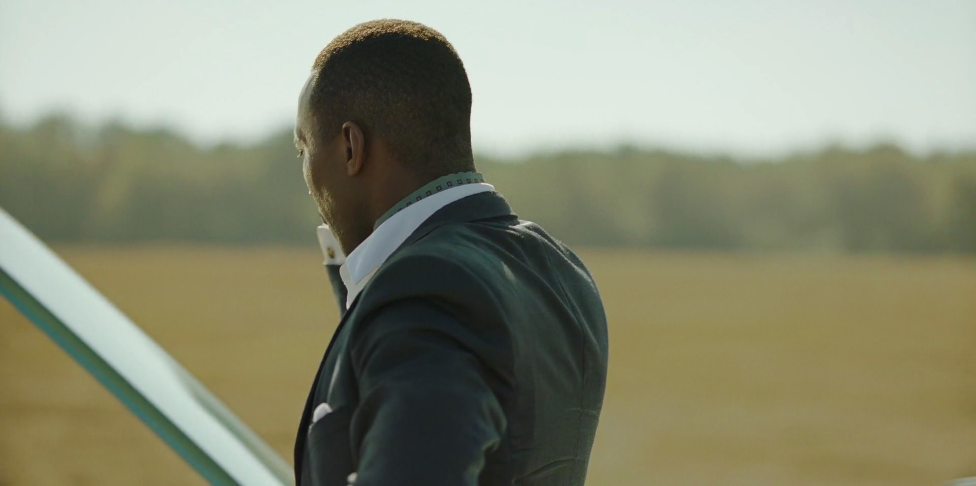 Green Book (2018) HD screenshot 7271