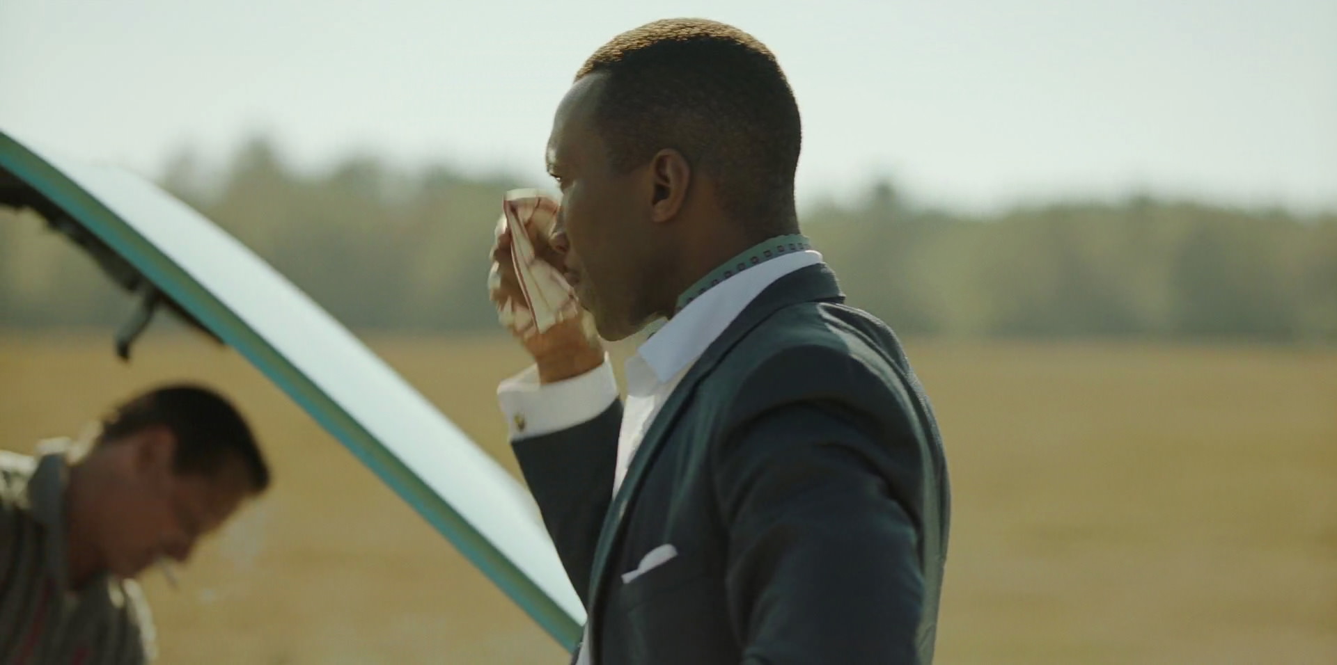 Green Book (2018) movie still 7273