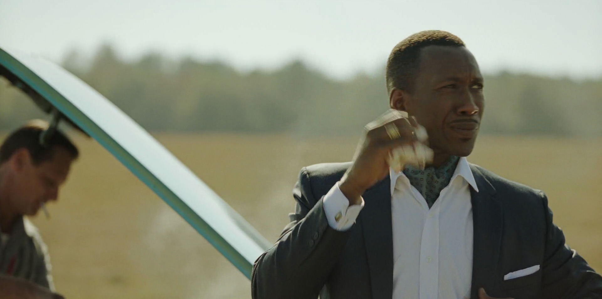 Green Book (2018) HD screenshot 7289