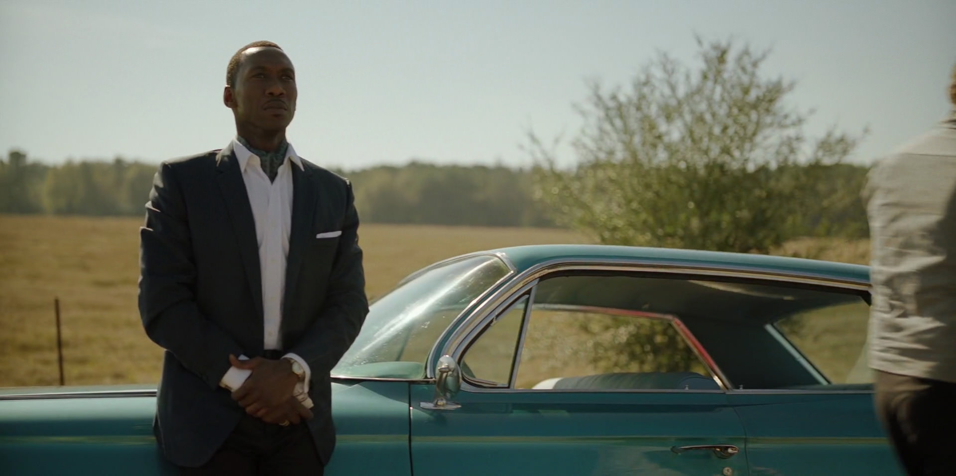 Green Book (2018) HD screenshot 7310