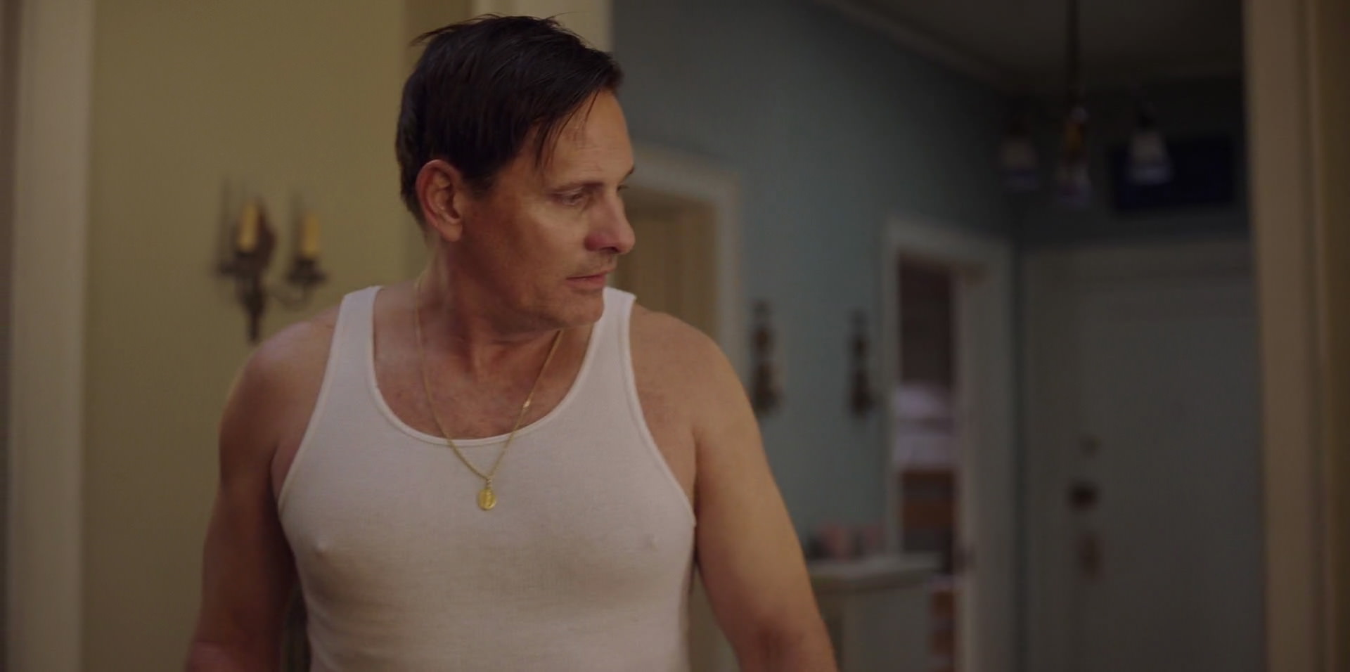 Green Book (2018) HD screenshot 749