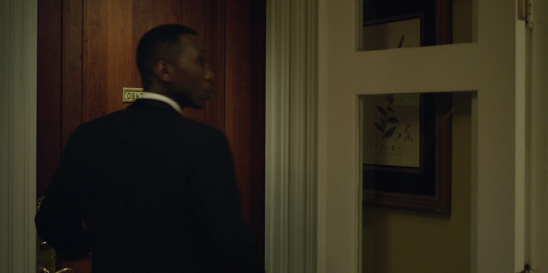 Green Book (2018) HD screenshot 7640