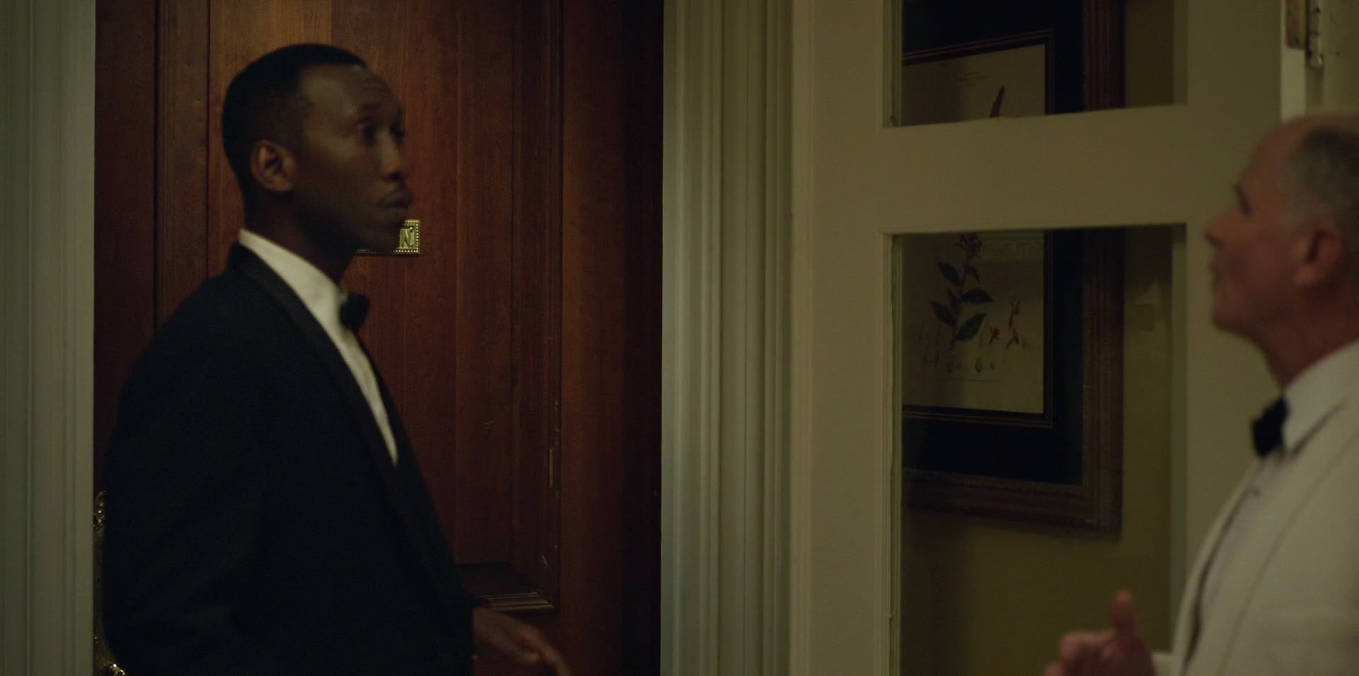Green Book (2018) movie still 7642