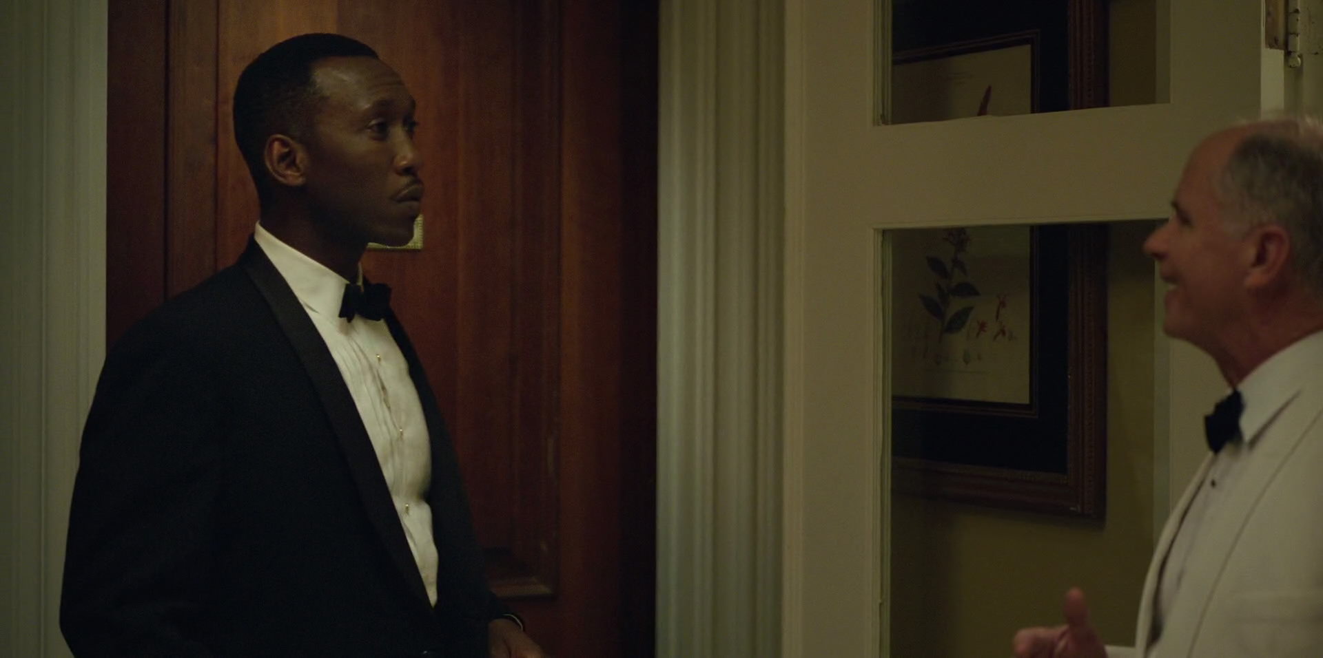 Green Book (2018) HD screenshot 7643