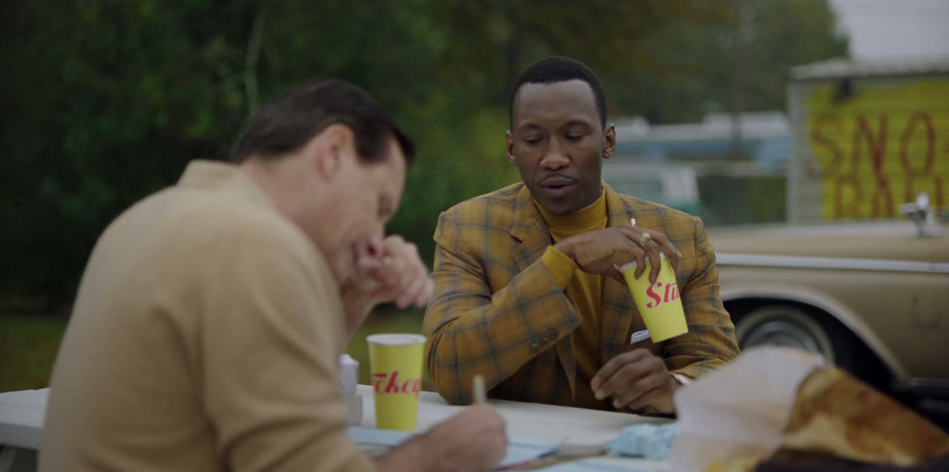 Green Book (2018) HD screenshot 7973