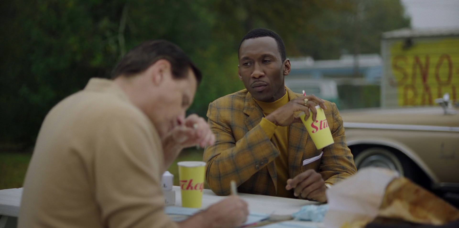 Green Book (2018) HD screenshot 7976