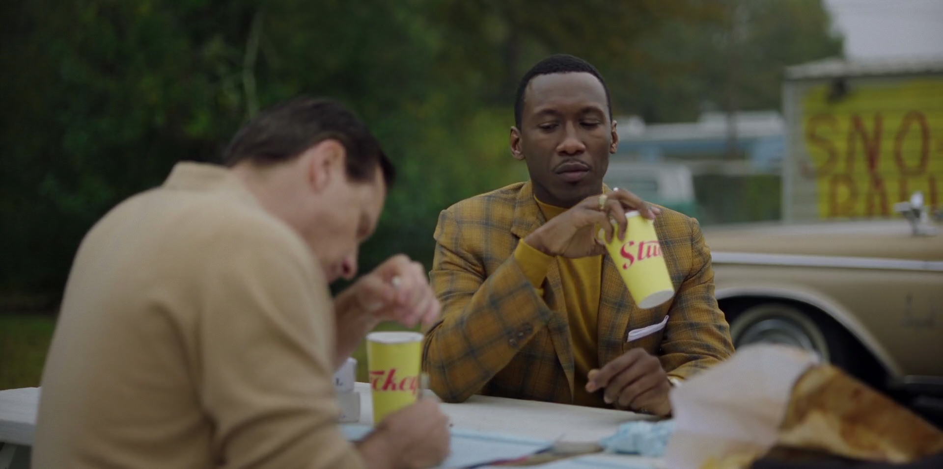 Green Book (2018) HD screenshot 7979