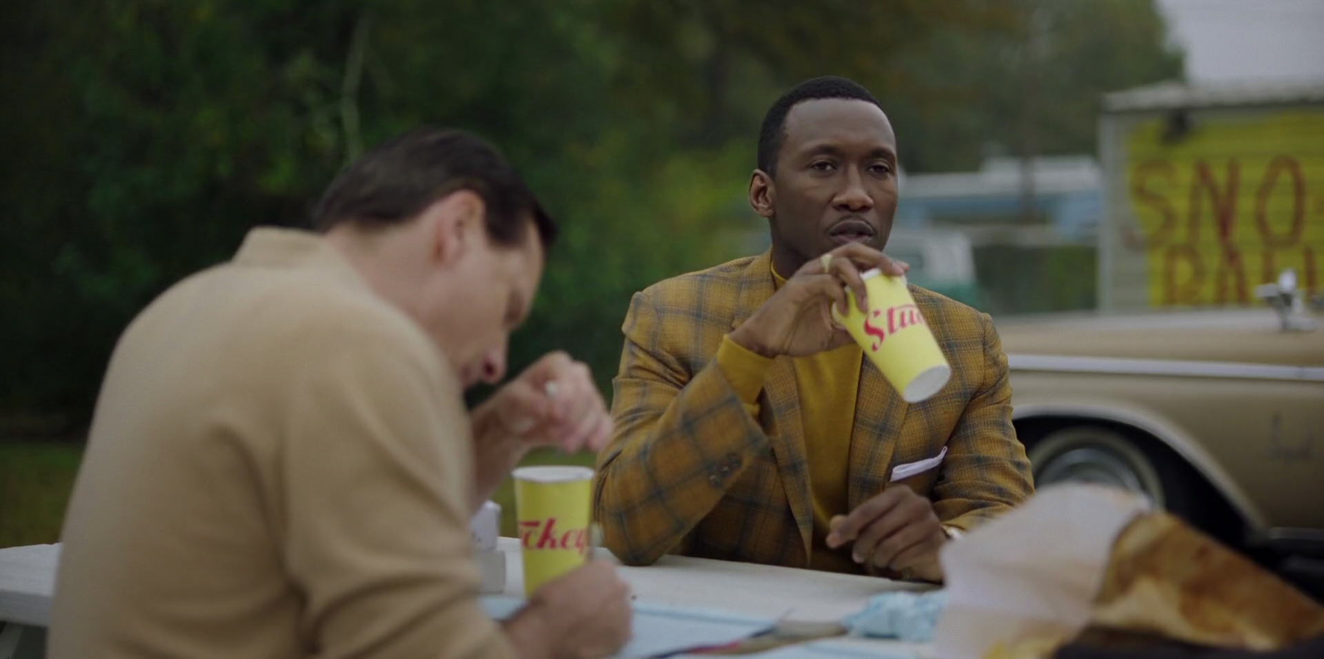 Green Book (2018) screencap 7980
