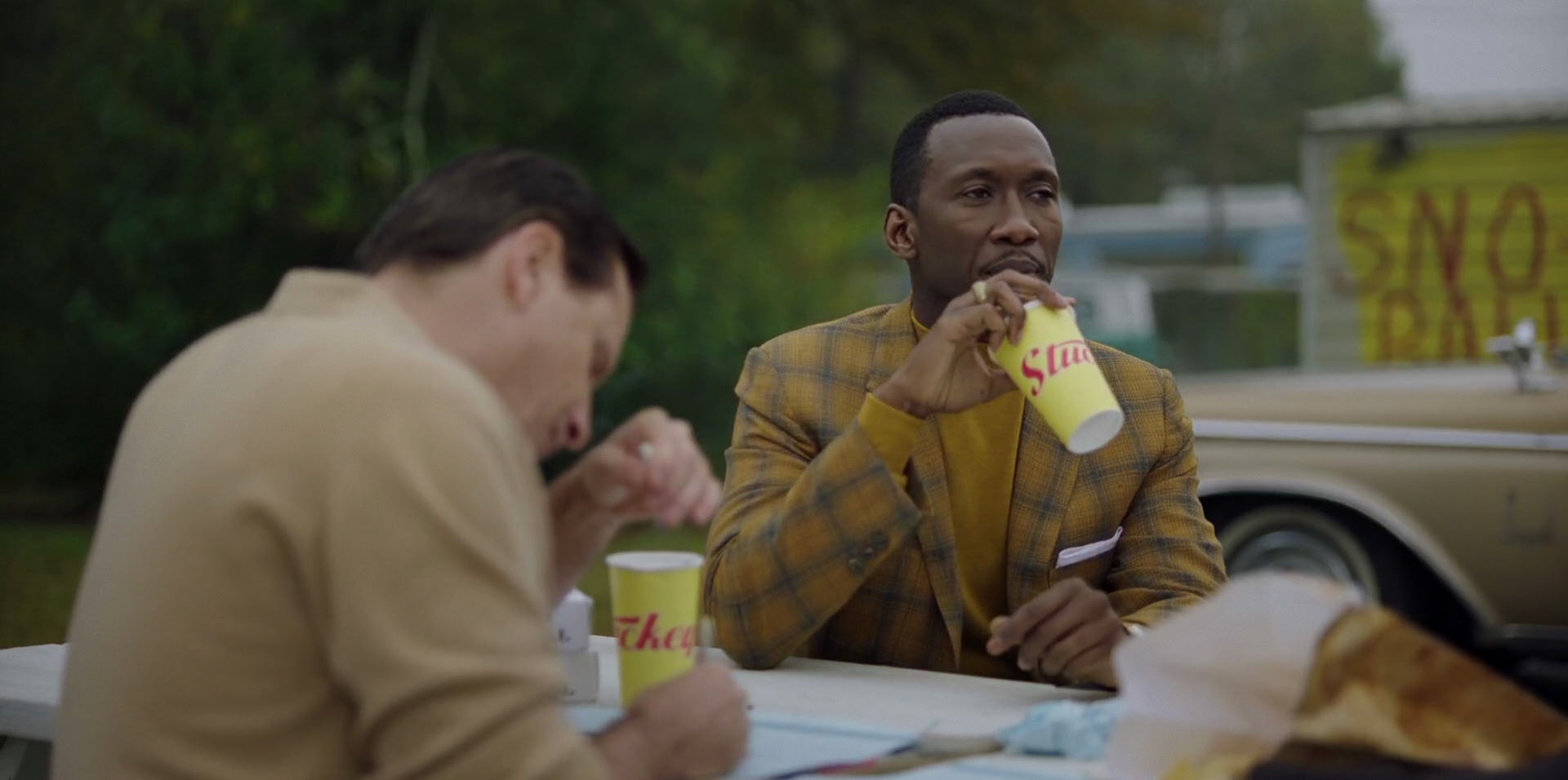 Green Book (2018) movie still 7981