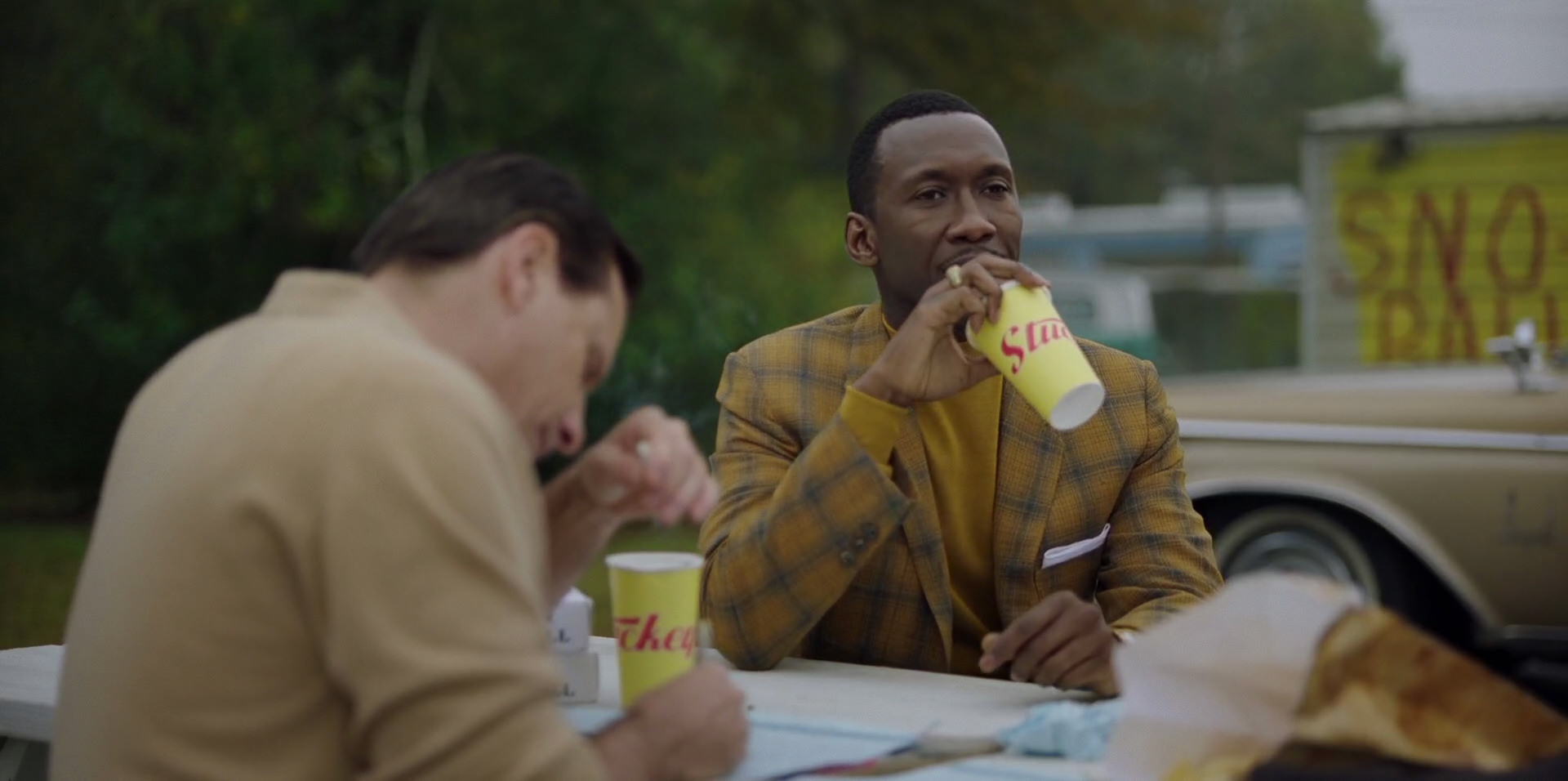 Green Book (2018) HD screenshot 7982