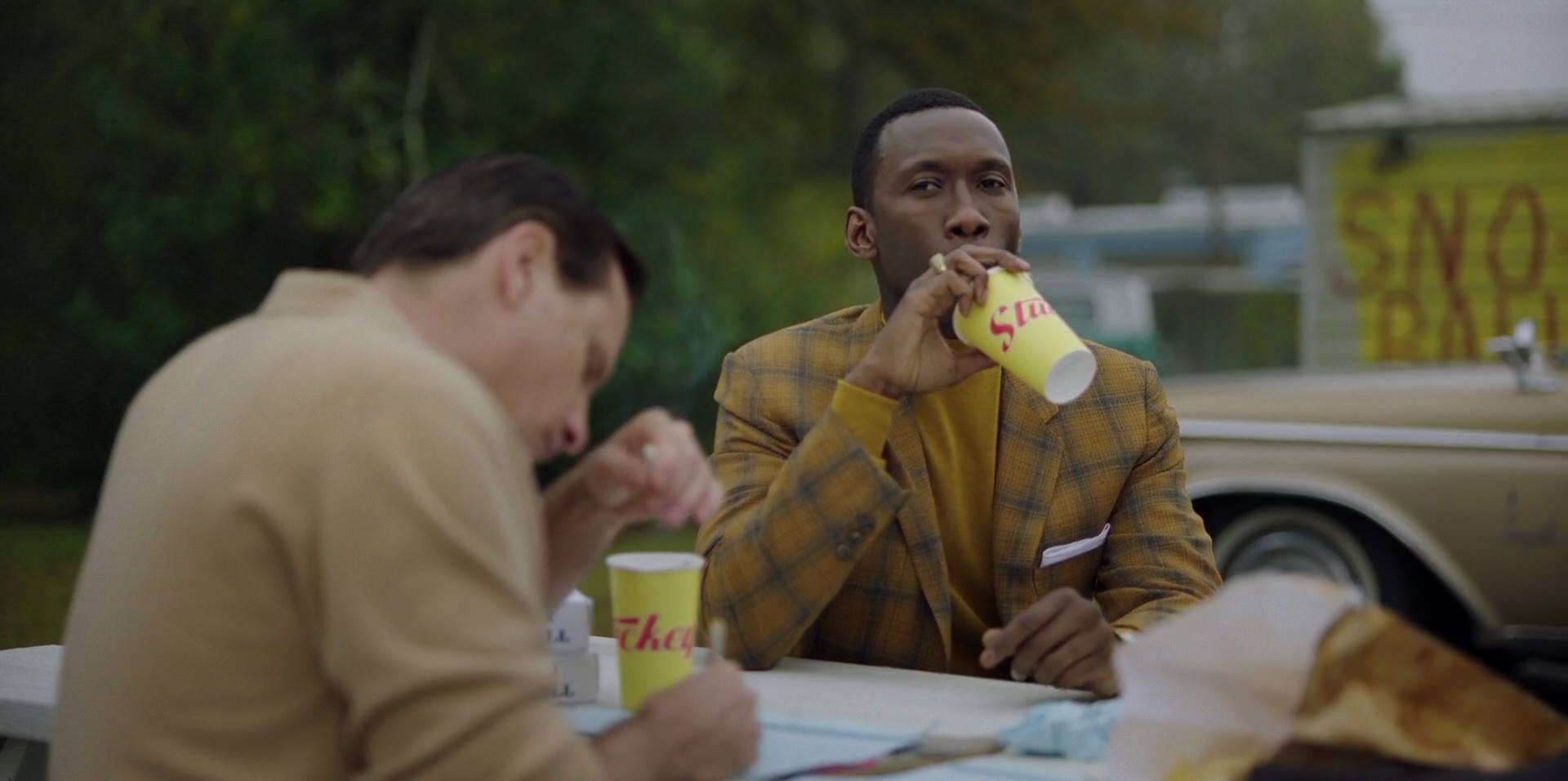 Green Book (2018) movie still 7984