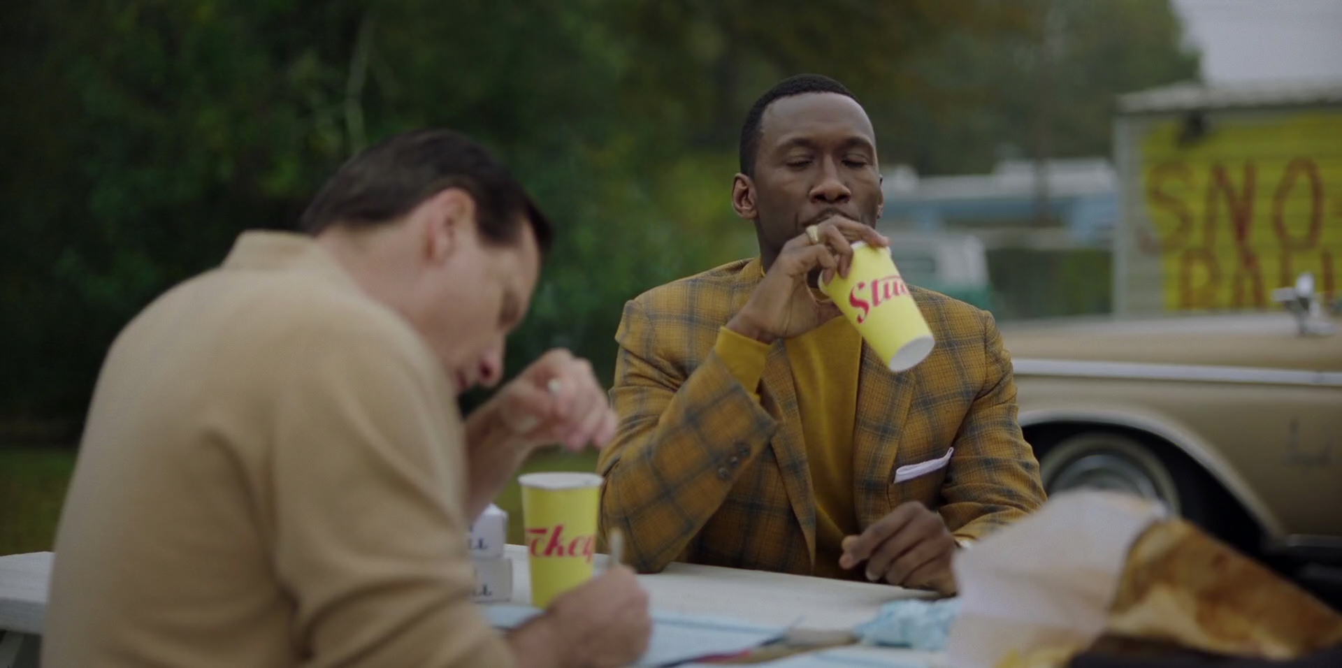 Green Book (2018) HD screenshot 7985