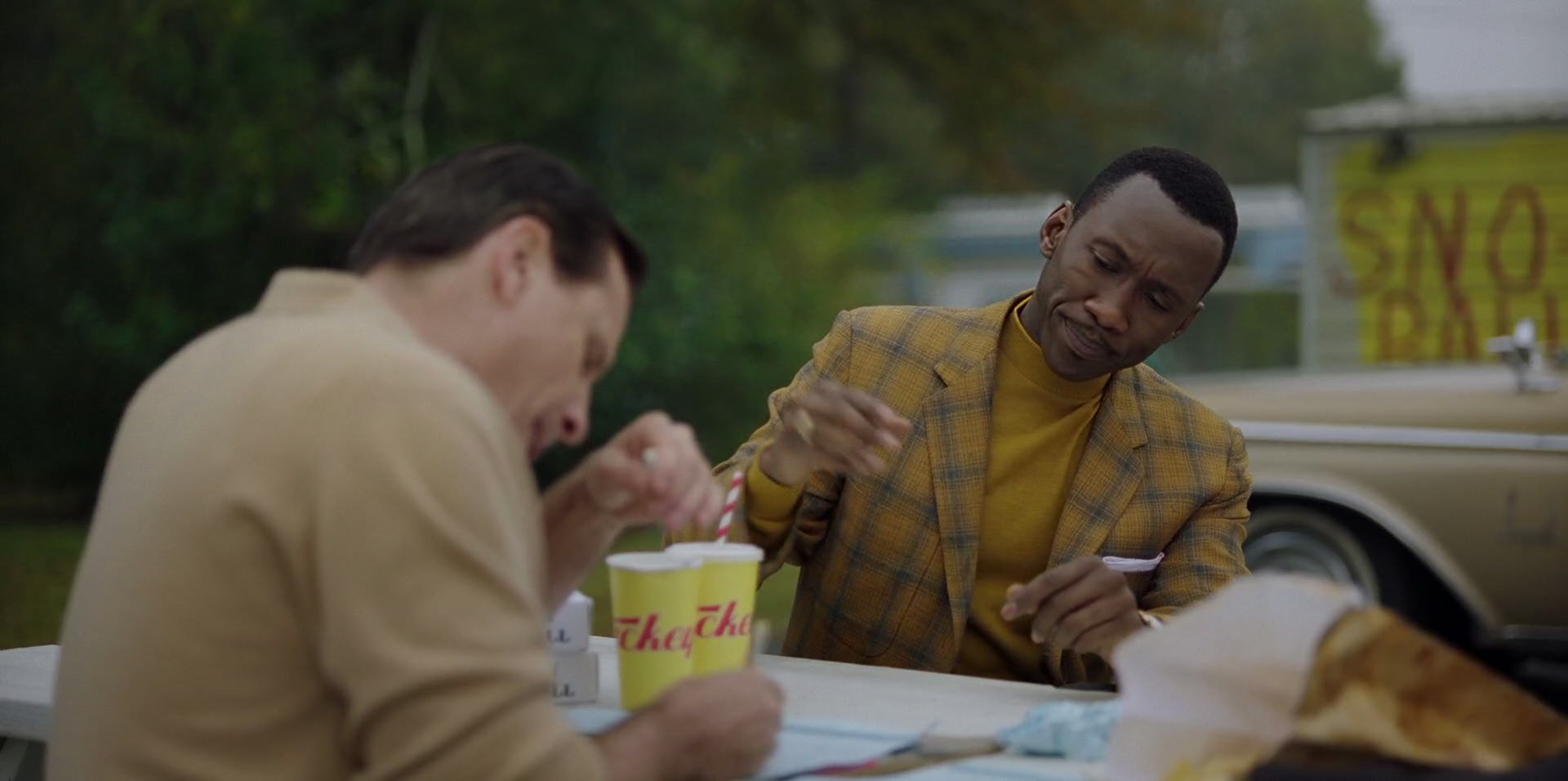 Green Book (2018) HD screenshot 7988