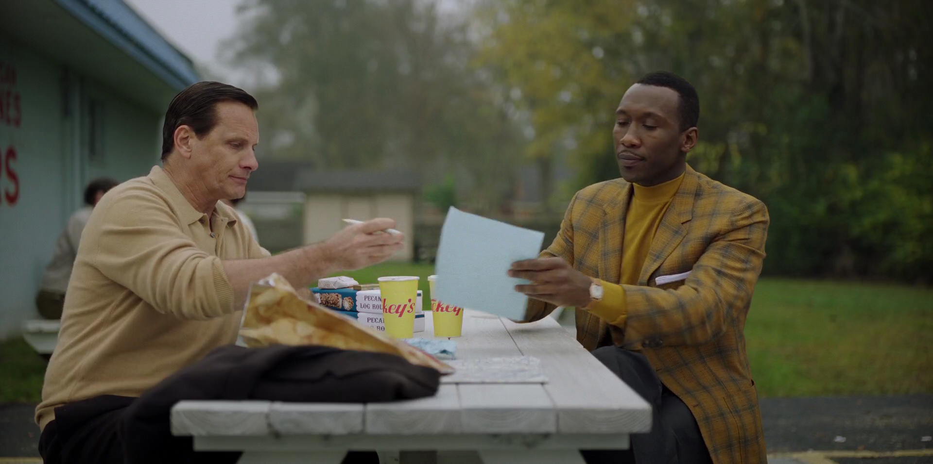 Green Book (2018) movie still 7999