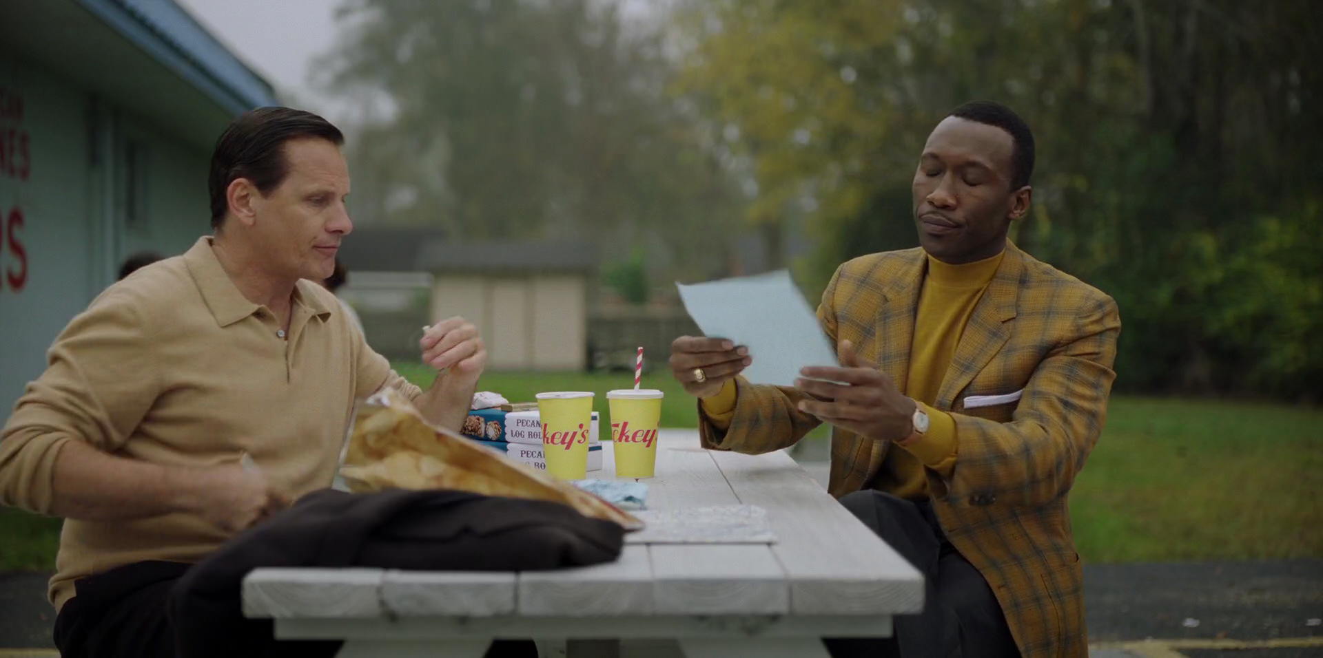 Green Book (2018) HD screenshot 8000