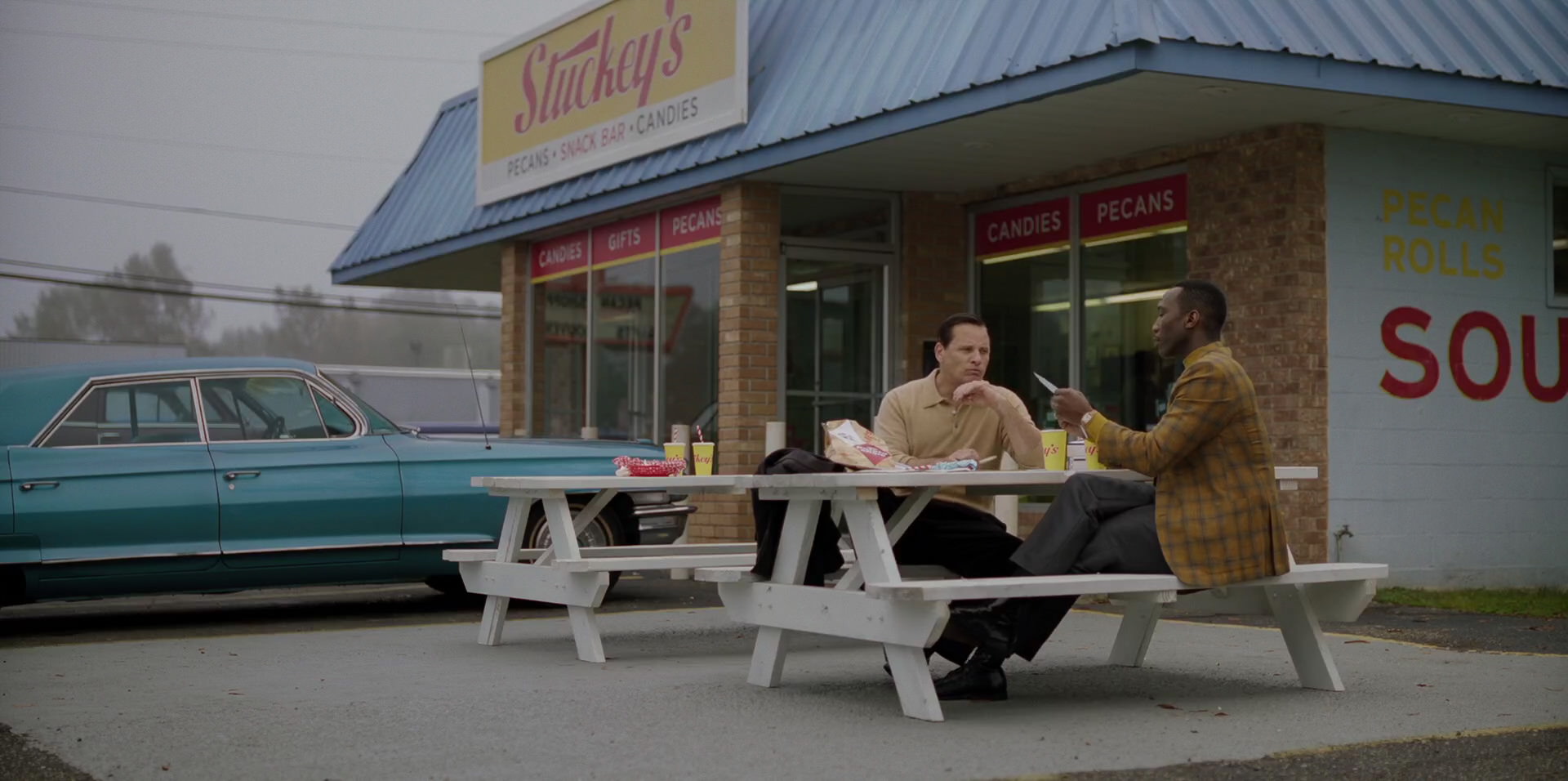 Green Book (2018) HD screenshot 8024