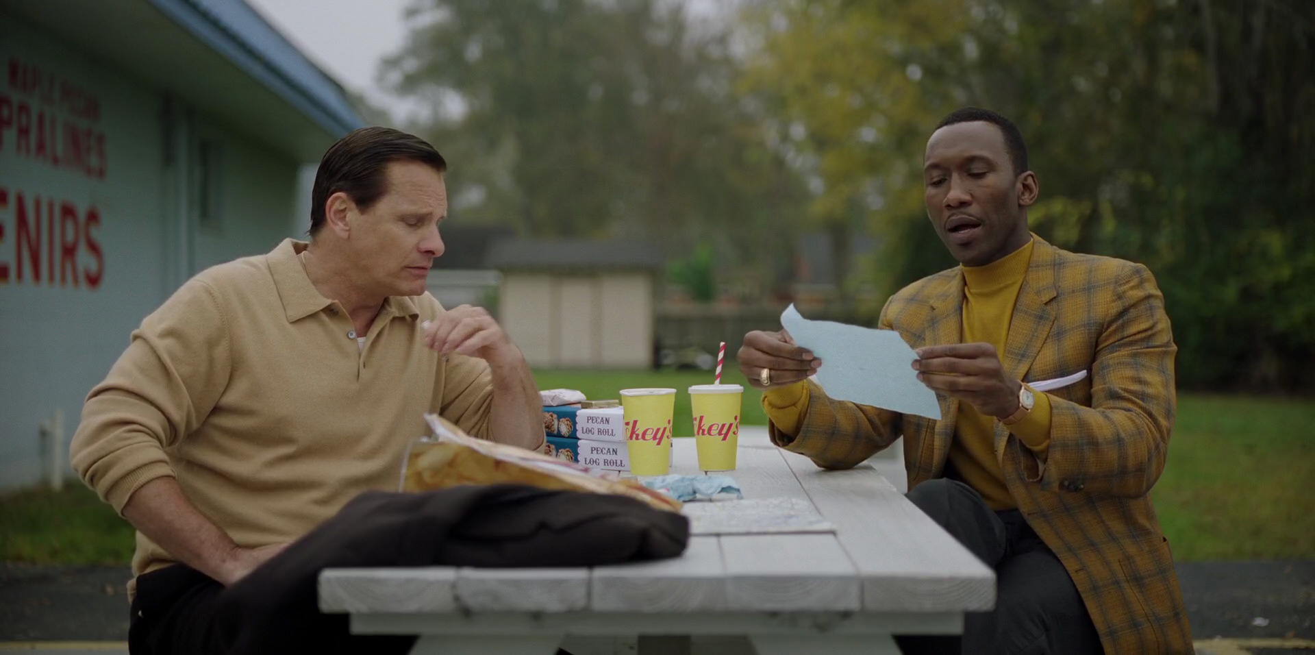 Green Book (2018) movie still 8050