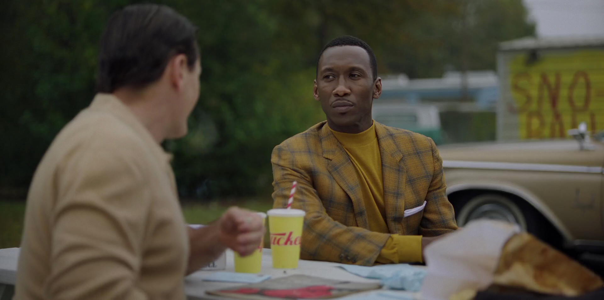 Green Book (2018) HD screenshot 8093