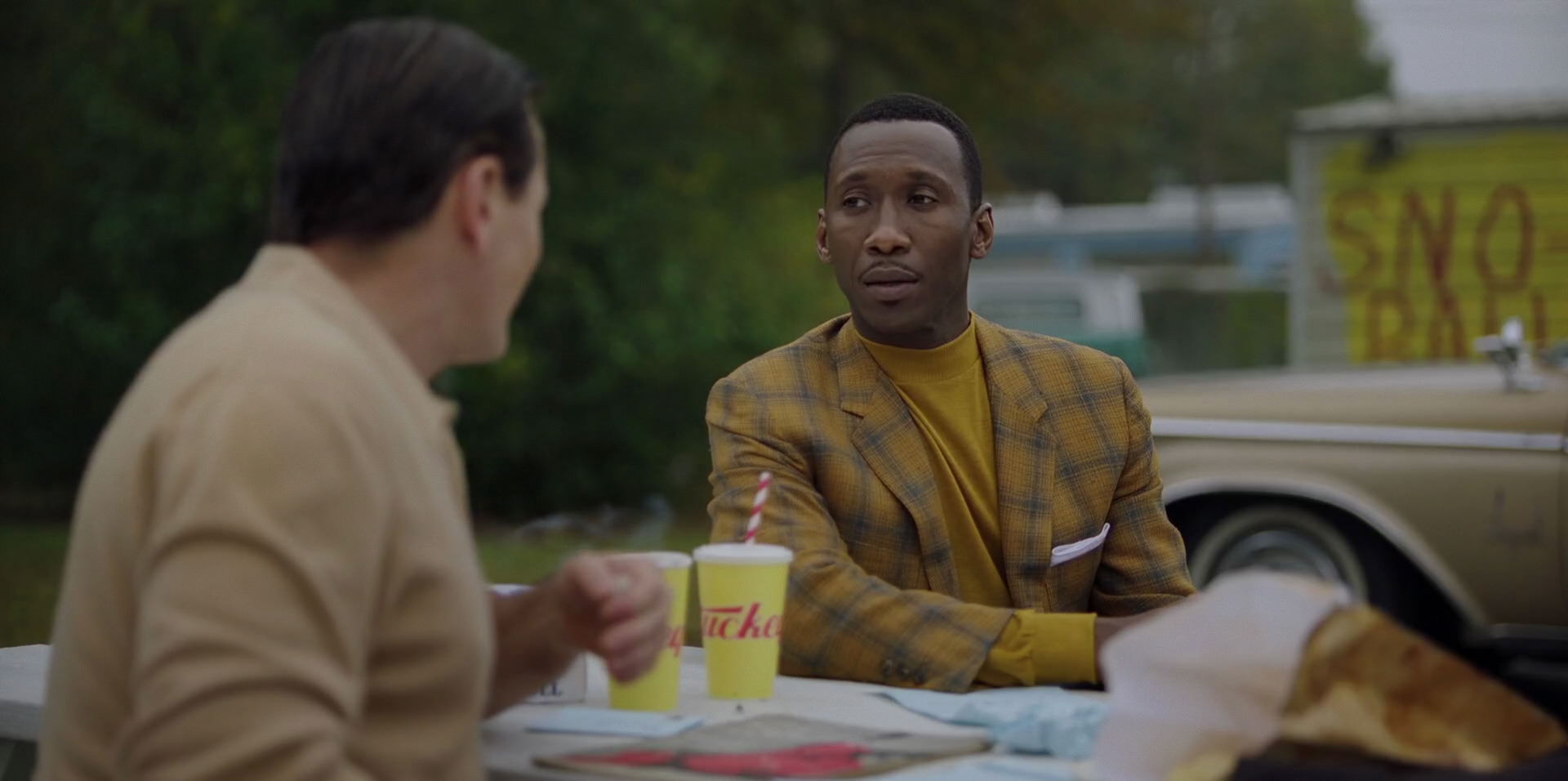 Green Book (2018) movie still 8095