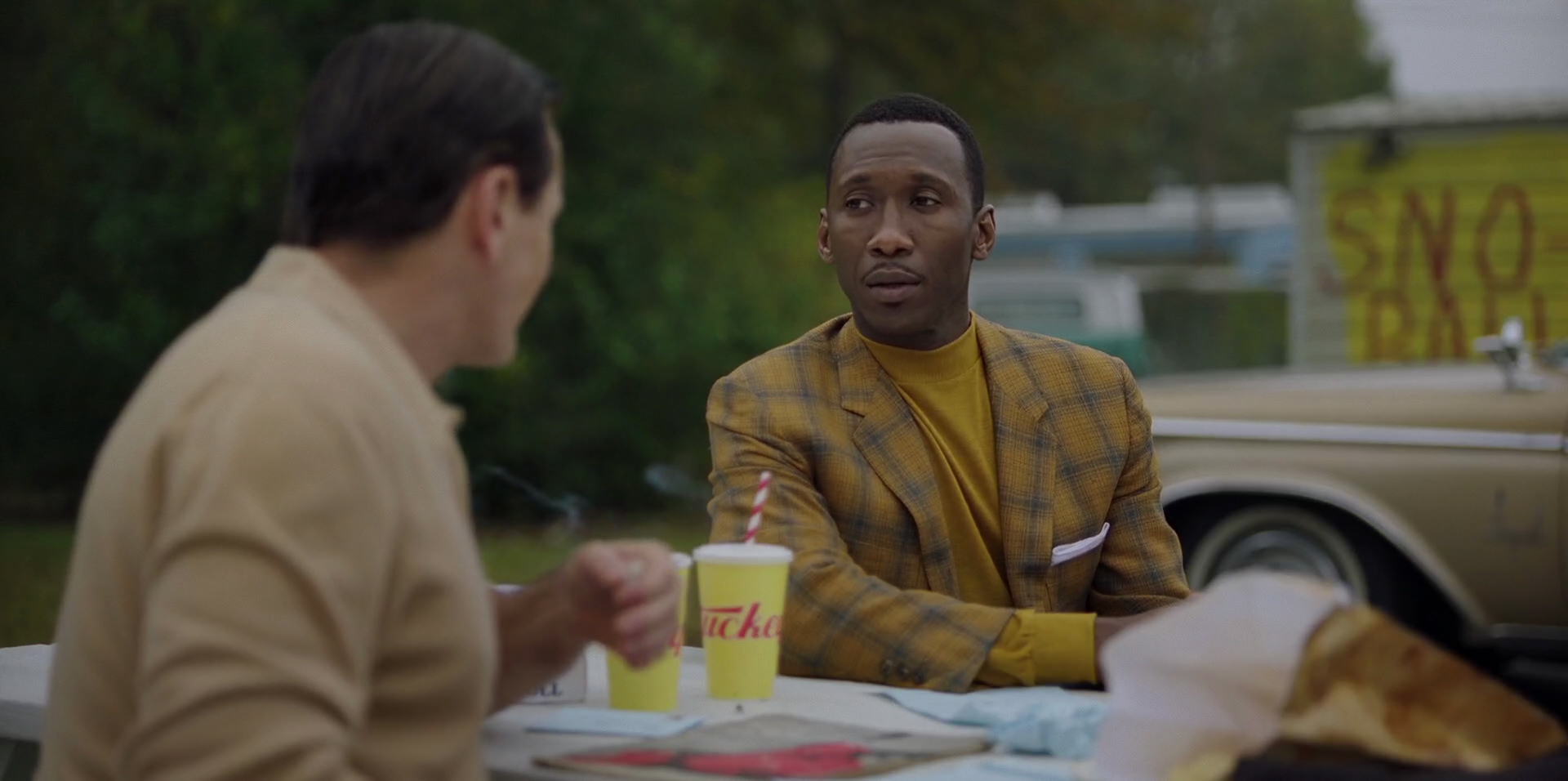 Green Book (2018) HD screenshot 8096