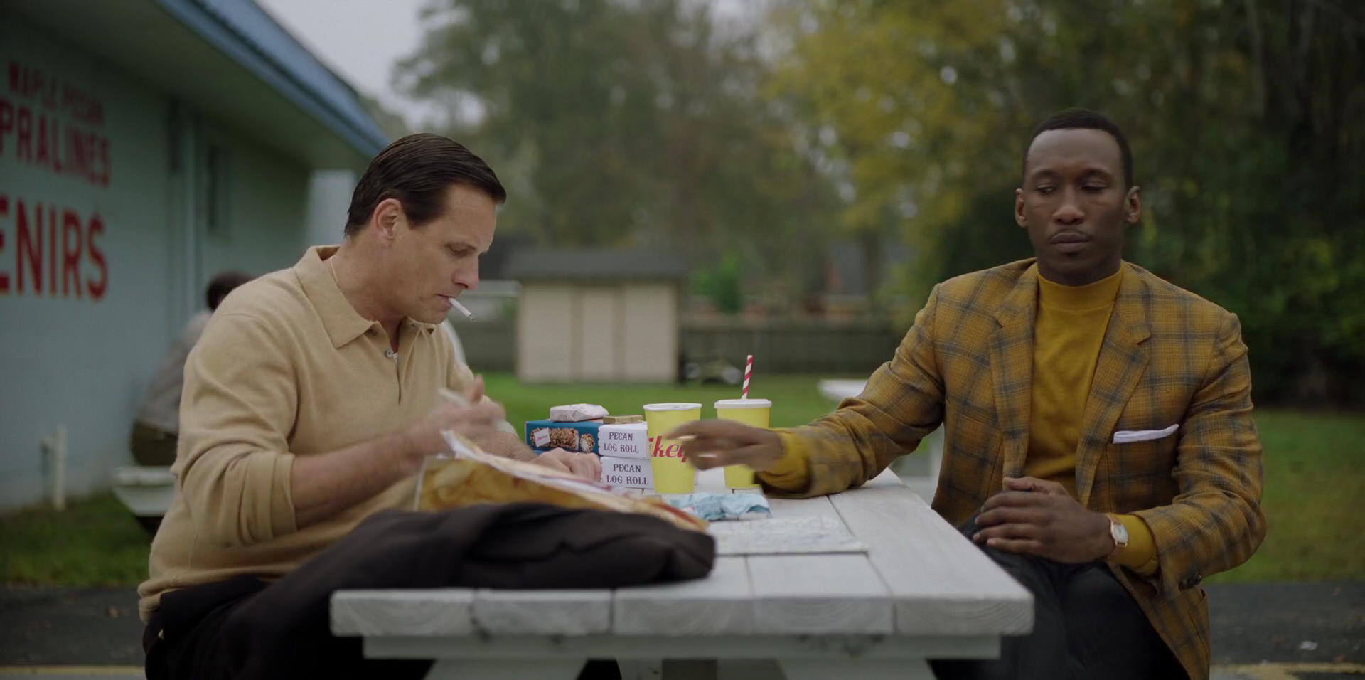 Green Book (2018) movie still 8113