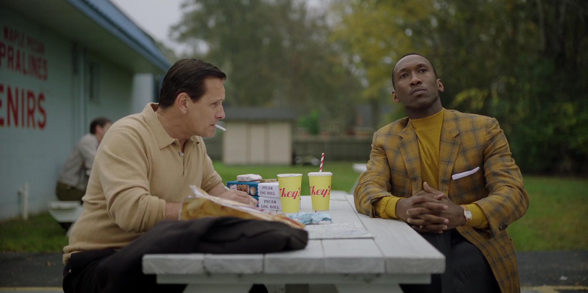 Green Book (2018) movie still 8119
