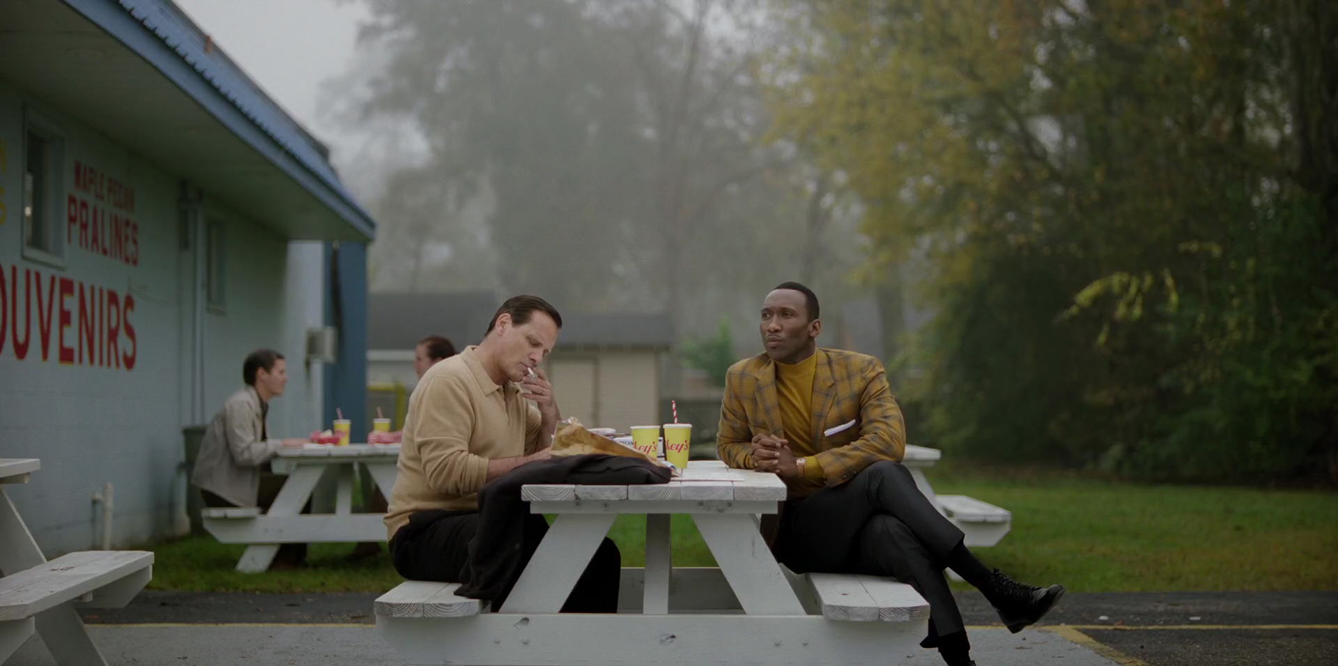 Green Book (2018) movie still 8233