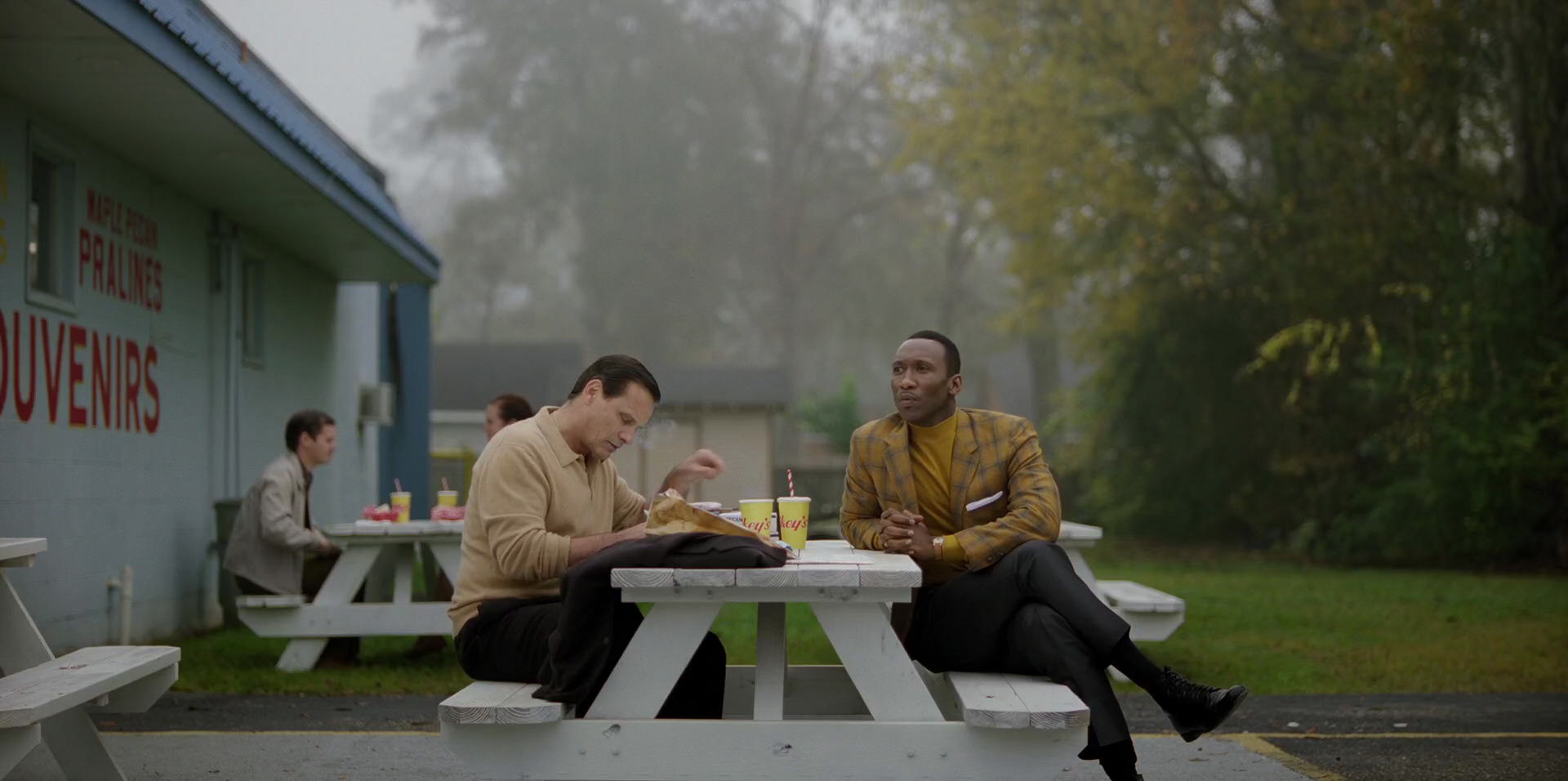 Green Book (2018) movie still 8236